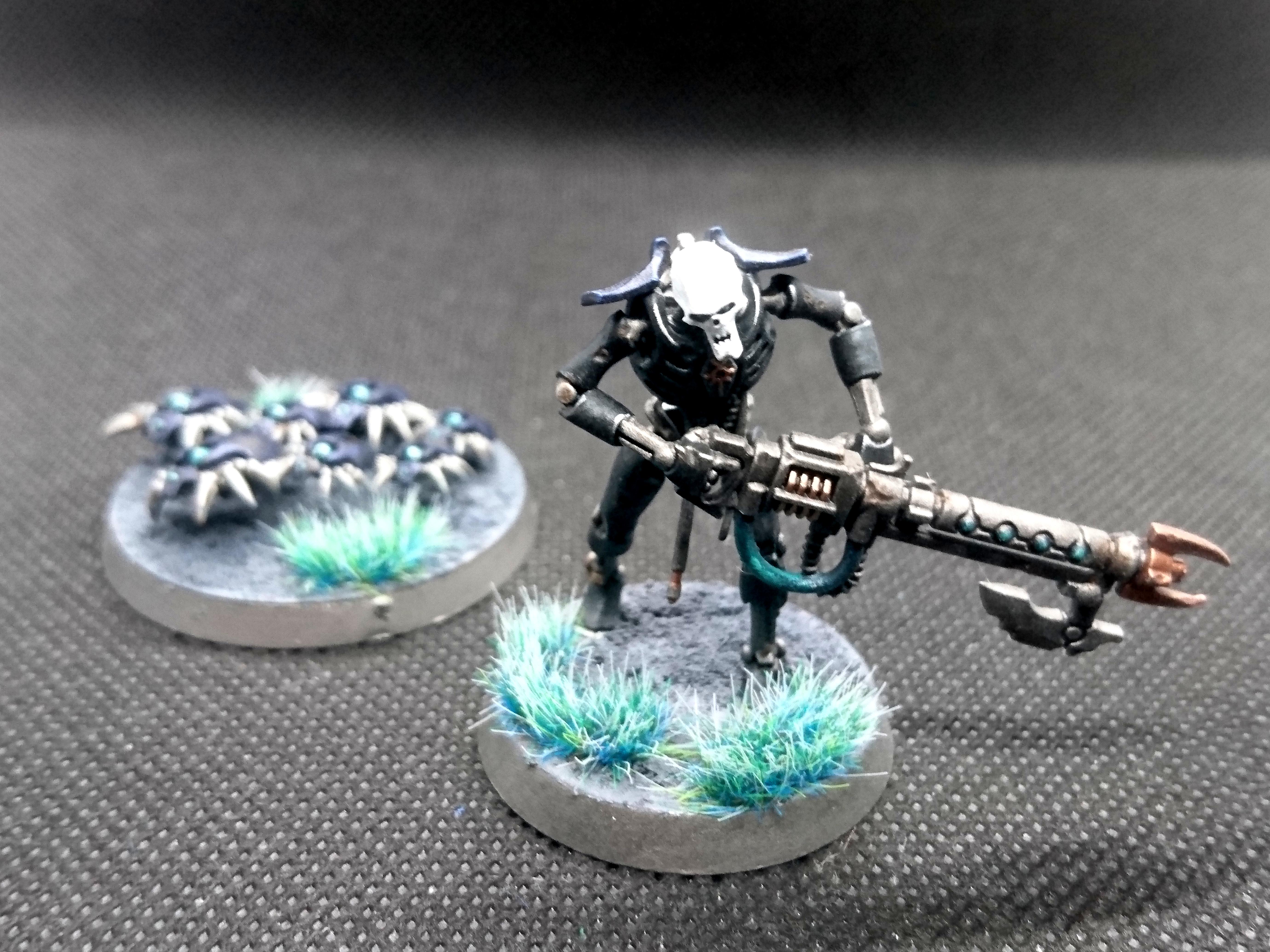 Test Scheme for Repaint