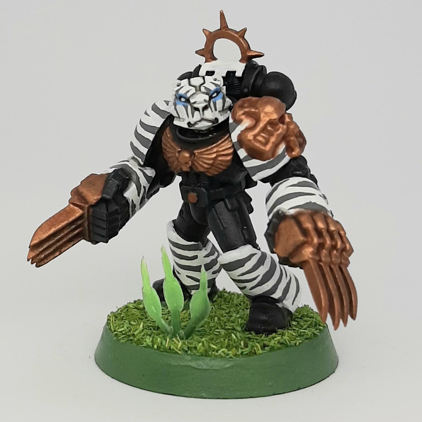Adeptus, Astartes, Camouflage, Conversion, Custom, Fighting, Forest, Jungle, Kitbash, Space, Space Marines, Tigers, Veda