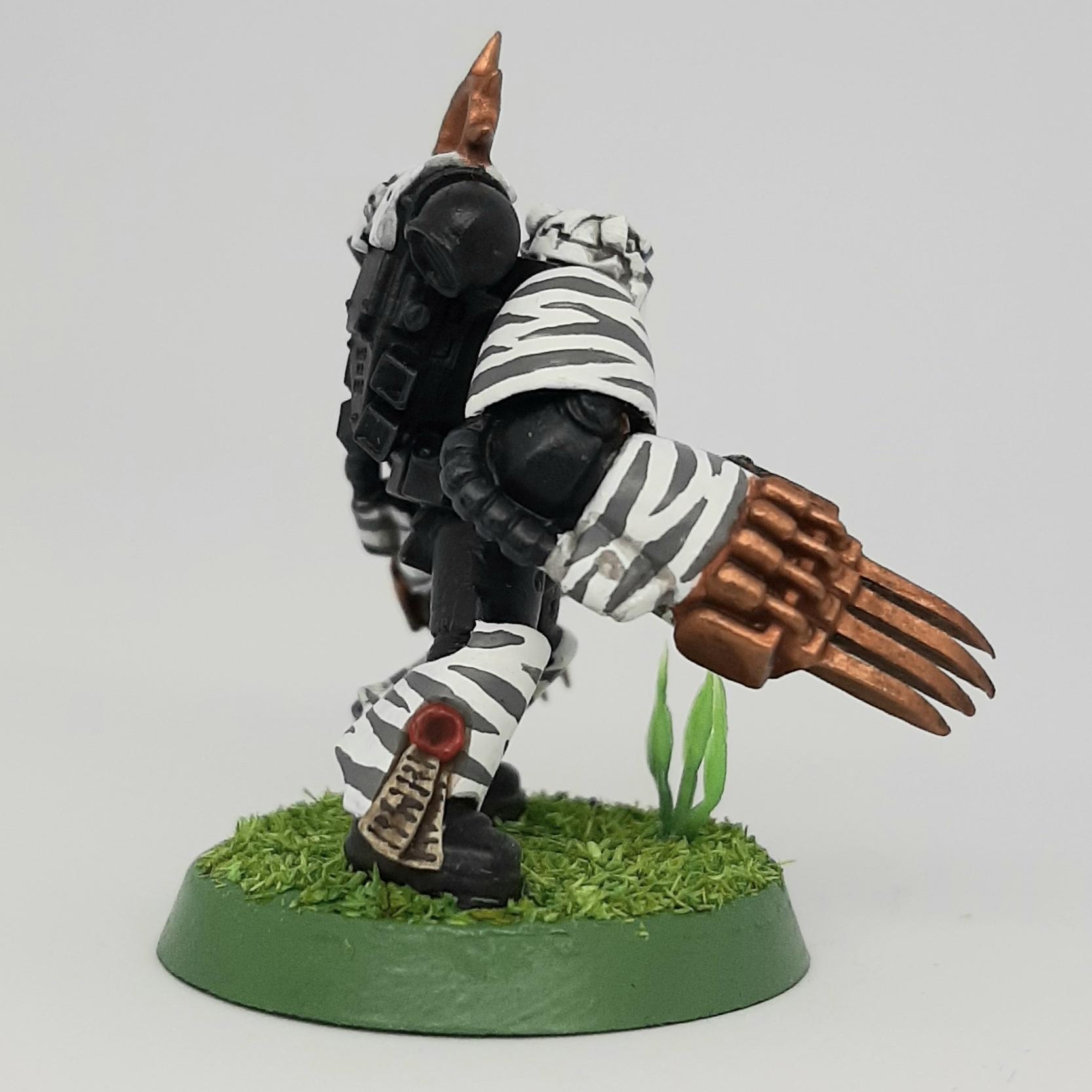 Adeptus, Astartes, Camouflage, Conversion, Custom, Fighting, Forest, Jungle, Kitbash, Space, Space Marines, Tigers, Veda