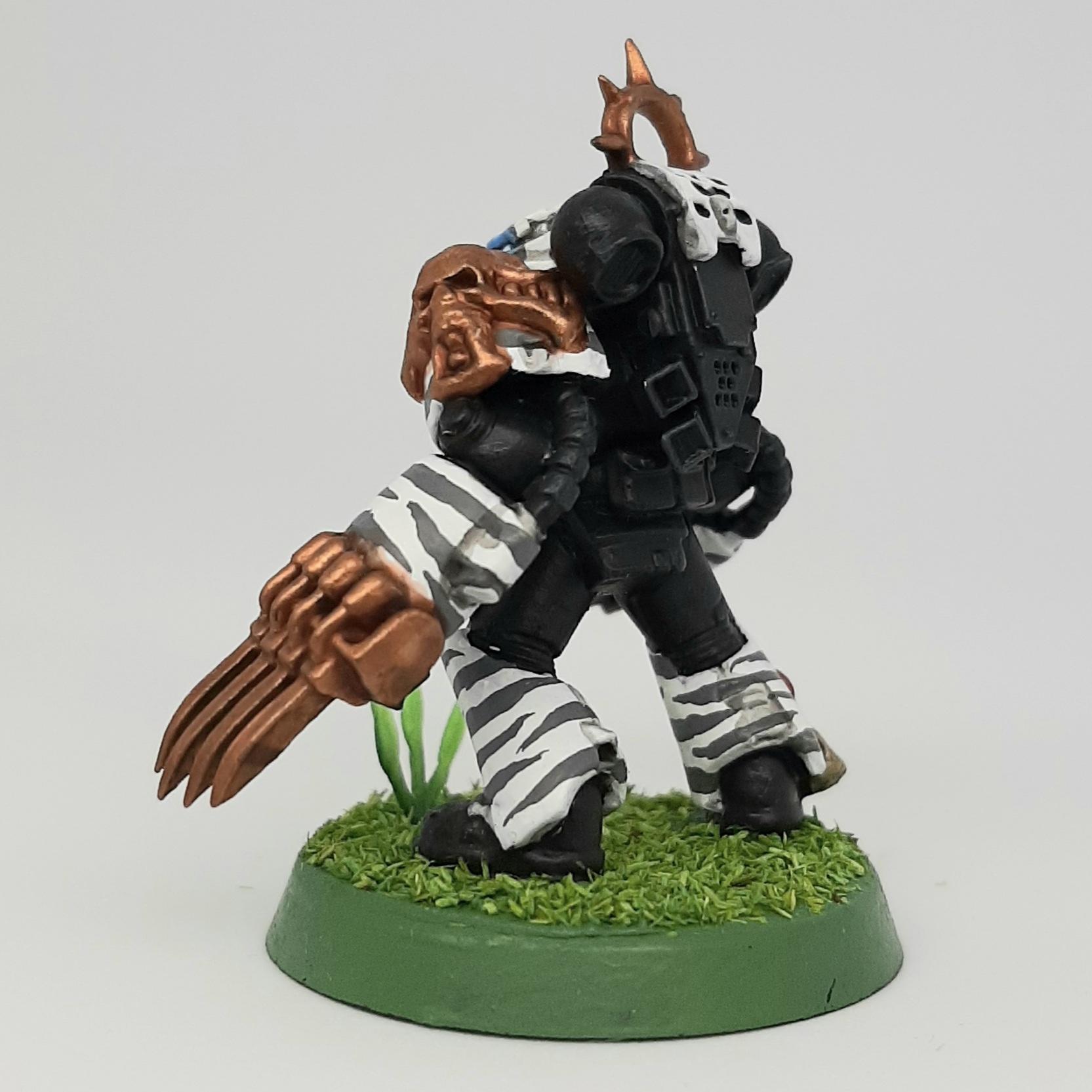 Adeptus, Astartes, Camouflage, Conversion, Custom, Fighting, Forest, Jungle, Kitbash, Space, Space Marines, Tigers, Veda