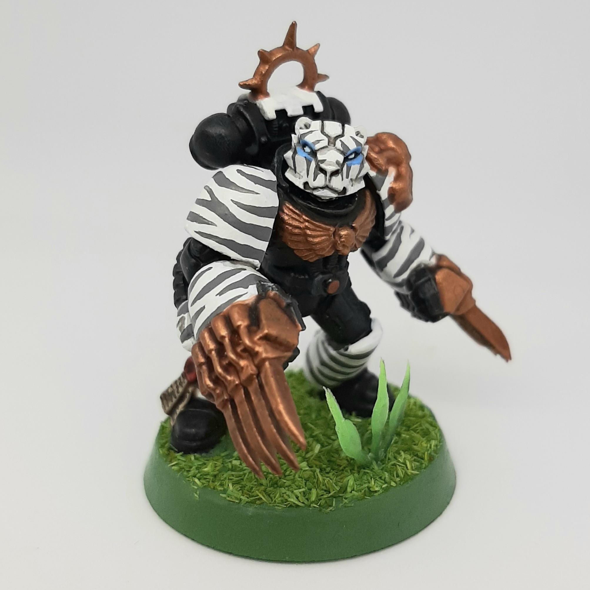 Adeptus, Astartes, Camouflage, Conversion, Custom, Fighting, Forest, Jungle, Kitbash, Space, Space Marines, Tigers, Veda