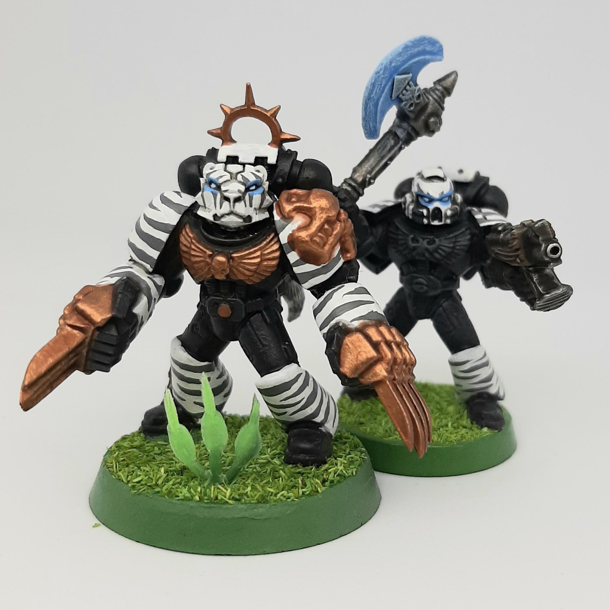 Adeptus, Astartes, Camouflage, Conversion, Custom, Fighting, Forest, Jungle, Kitbash, Space, Space Marines, Tigers, Veda