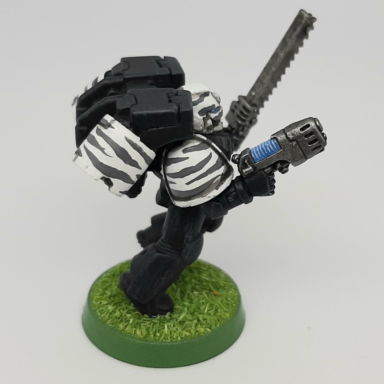 Adeptus, Astartes, Camouflage, Conversion, Custom, Fighting, Forest, Jungle, Kitbash, Space, Space Marines, Tigers, Veda