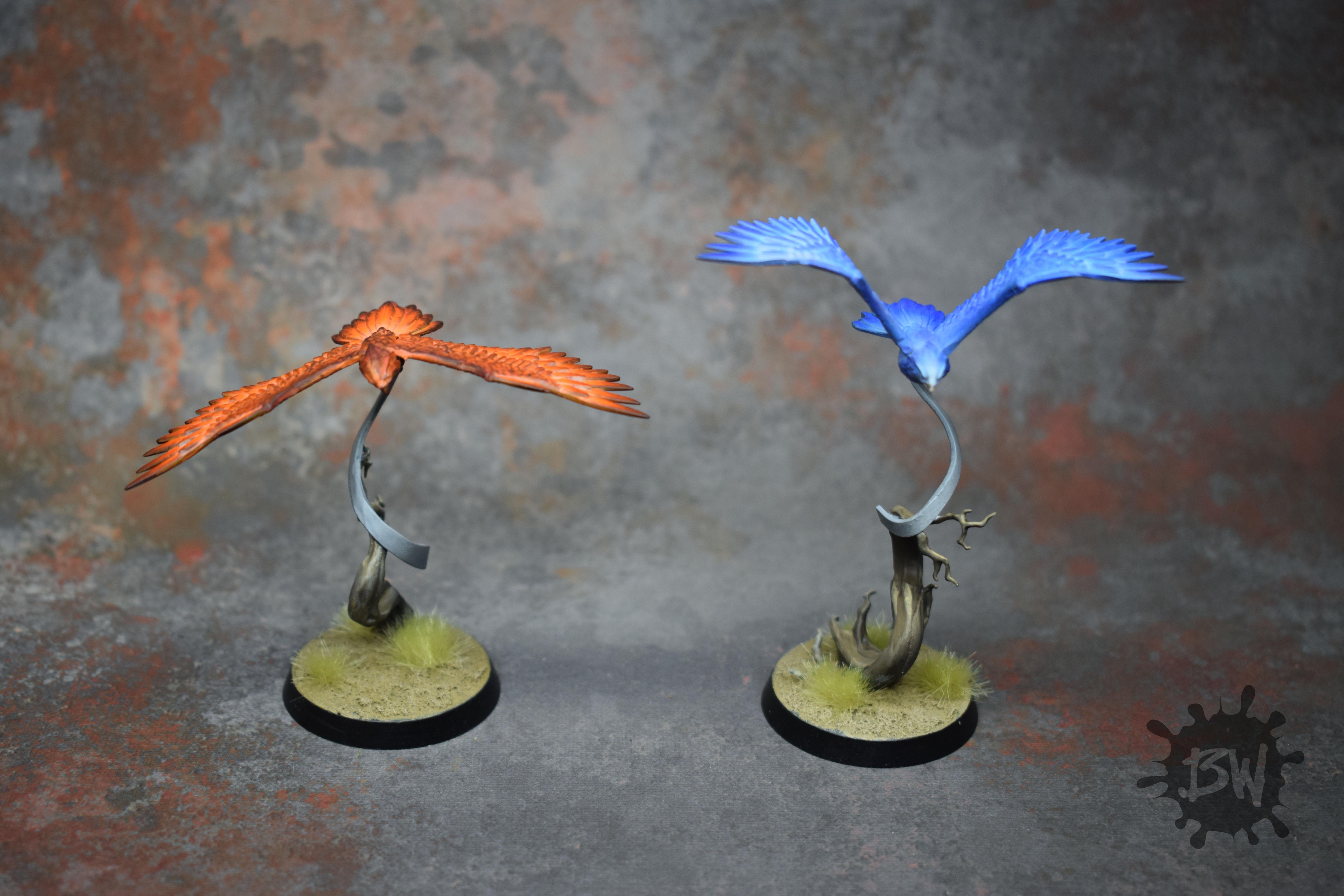 Aetherwings, Age Of Sigmar, Order, Warhammer Fantasy