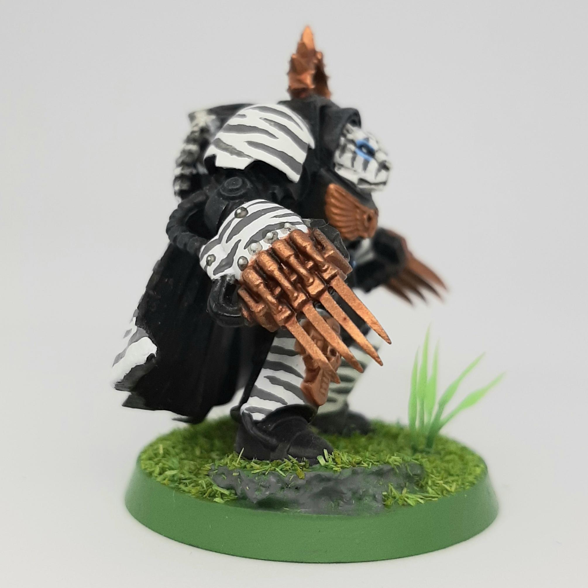 Adeptus, Astartes, Camouflage, Chapter, Conversion, Custom, Fighting, Forest, Jungle, Khandar, Kitbash, Madu, Master, Raja, Space, Space Marines, Tigers, Veda