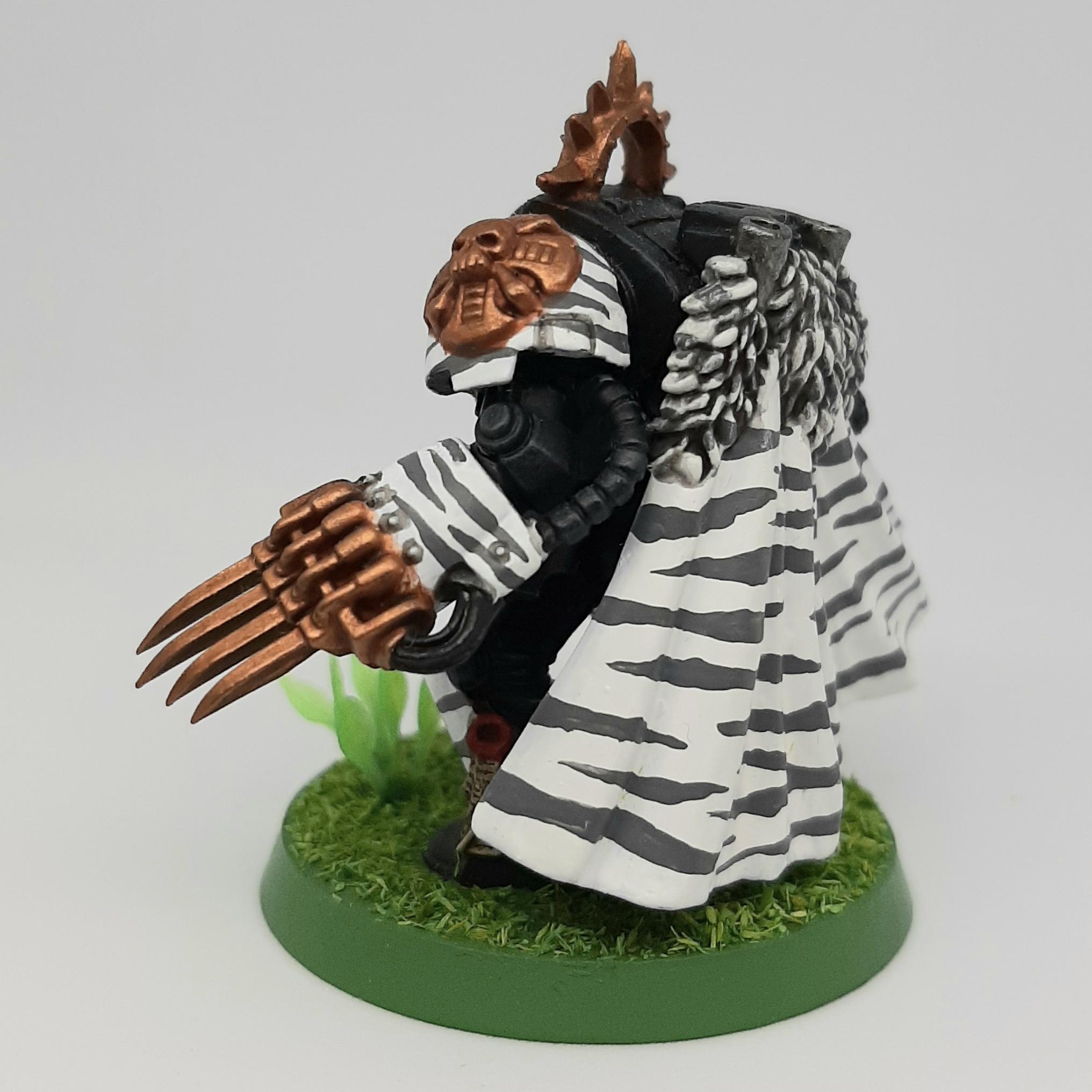 Adeptus, Astartes, Camouflage, Chapter, Conversion, Custom, Fighting, Forest, Jungle, Khandar, Kitbash, Madu, Master, Raja, Space, Space Marines, Tigers, Veda
