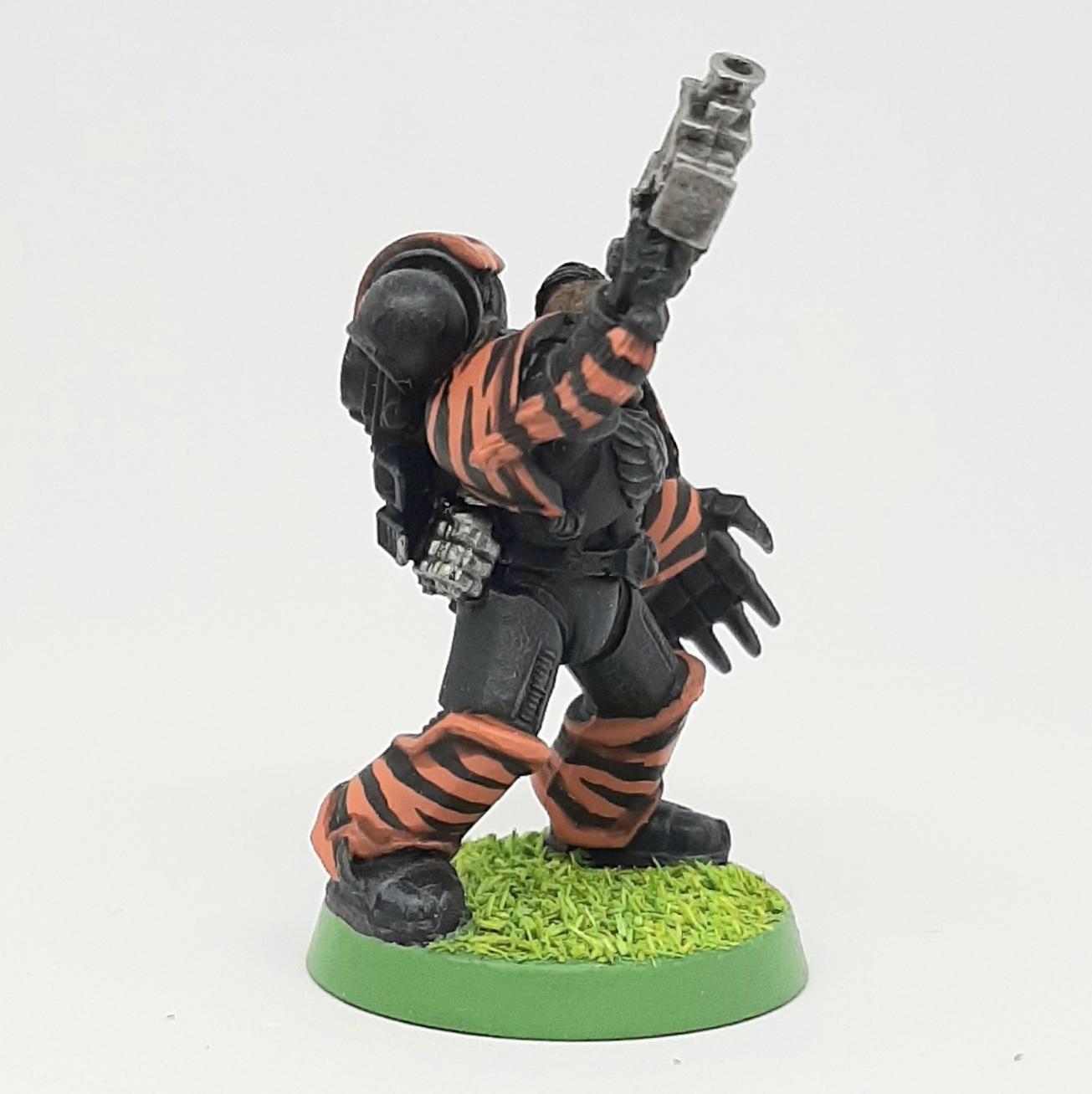 Adeptus, Astartes, Camouflage, Conversion, Custom, Fighting, Forest, Jungle, Kitbash, Space, Space Marines, Tigers, Veda
