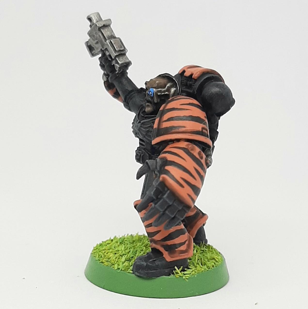Adeptus, Astartes, Camouflage, Conversion, Custom, Fighting, Forest, Jungle, Kitbash, Space, Space Marines, Tigers, Veda