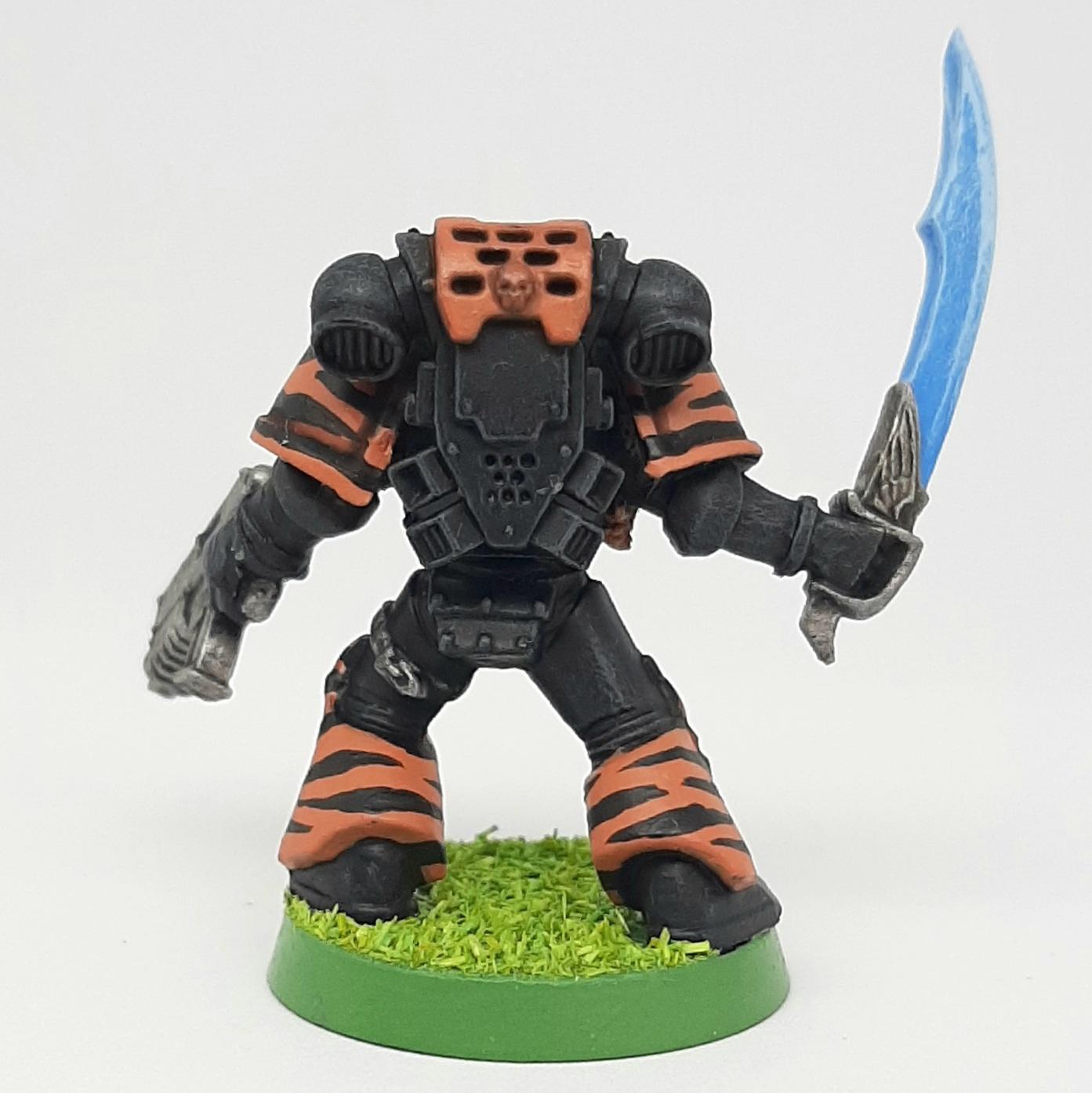 Adeptus, Astartes, Camouflage, Conversion, Custom, Fighting, Forest, Jungle, Kitbash, Space, Space Marines, Tigers, Veda