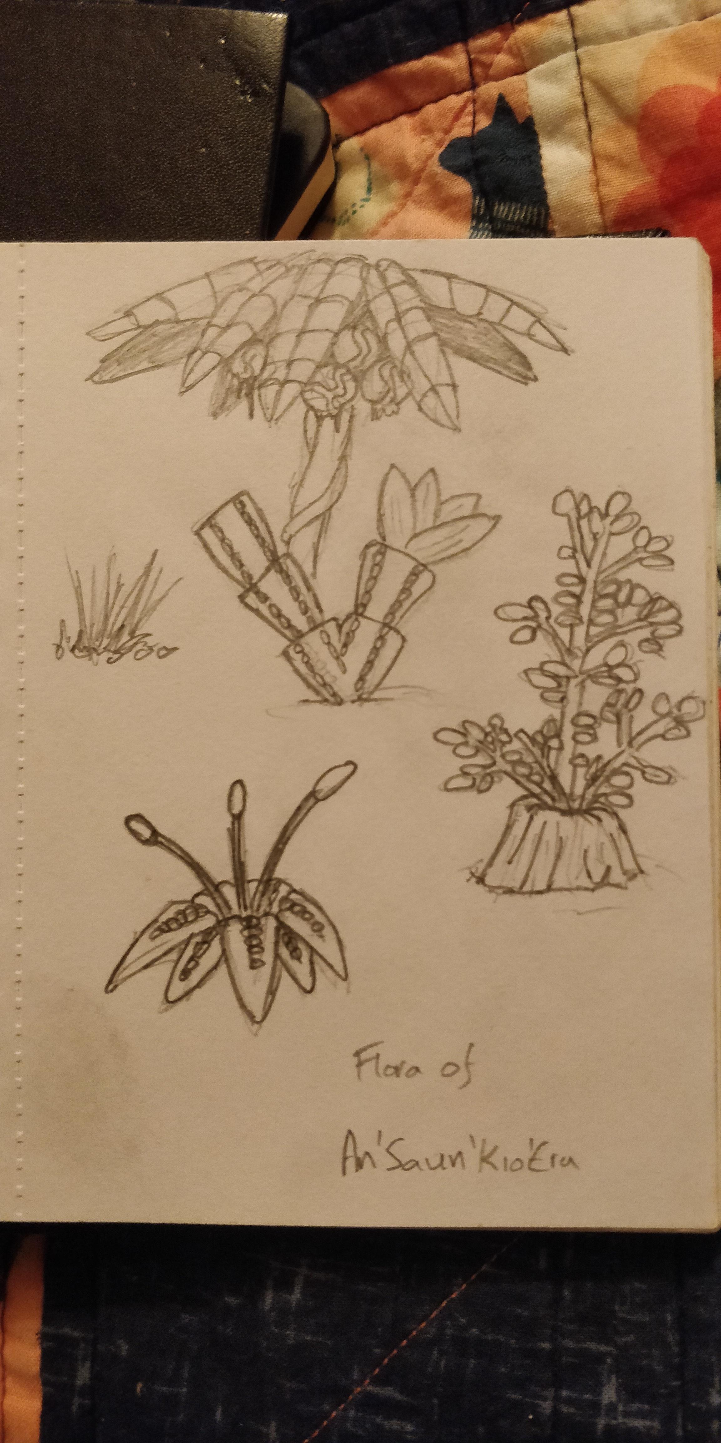 Drawing, Plants, Sketch