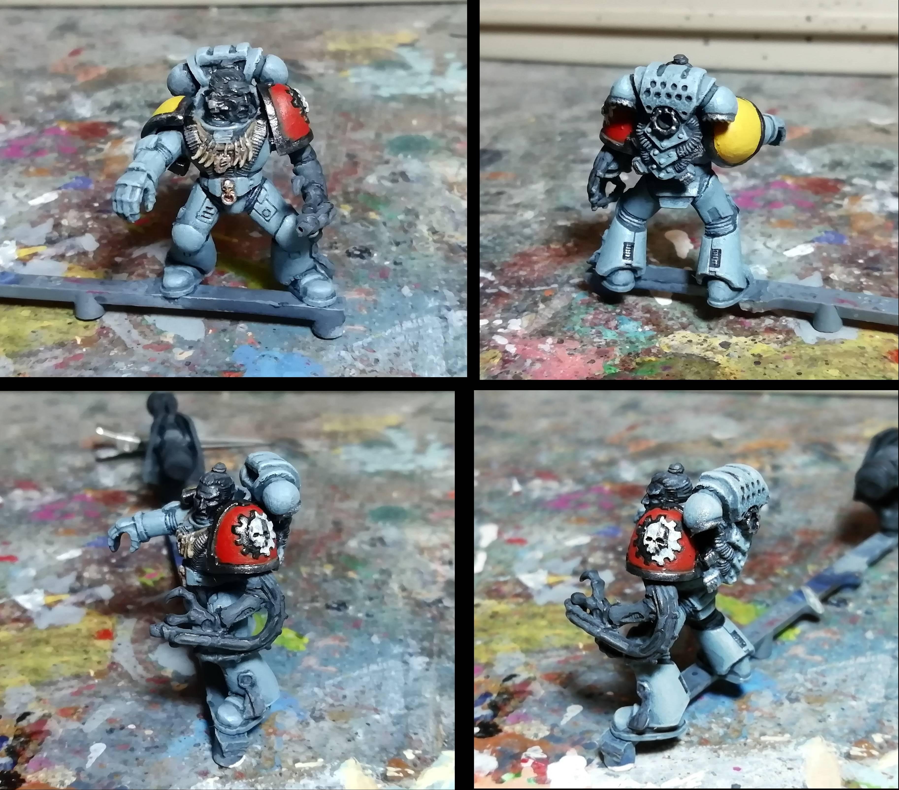 Raider pip 3: pilot