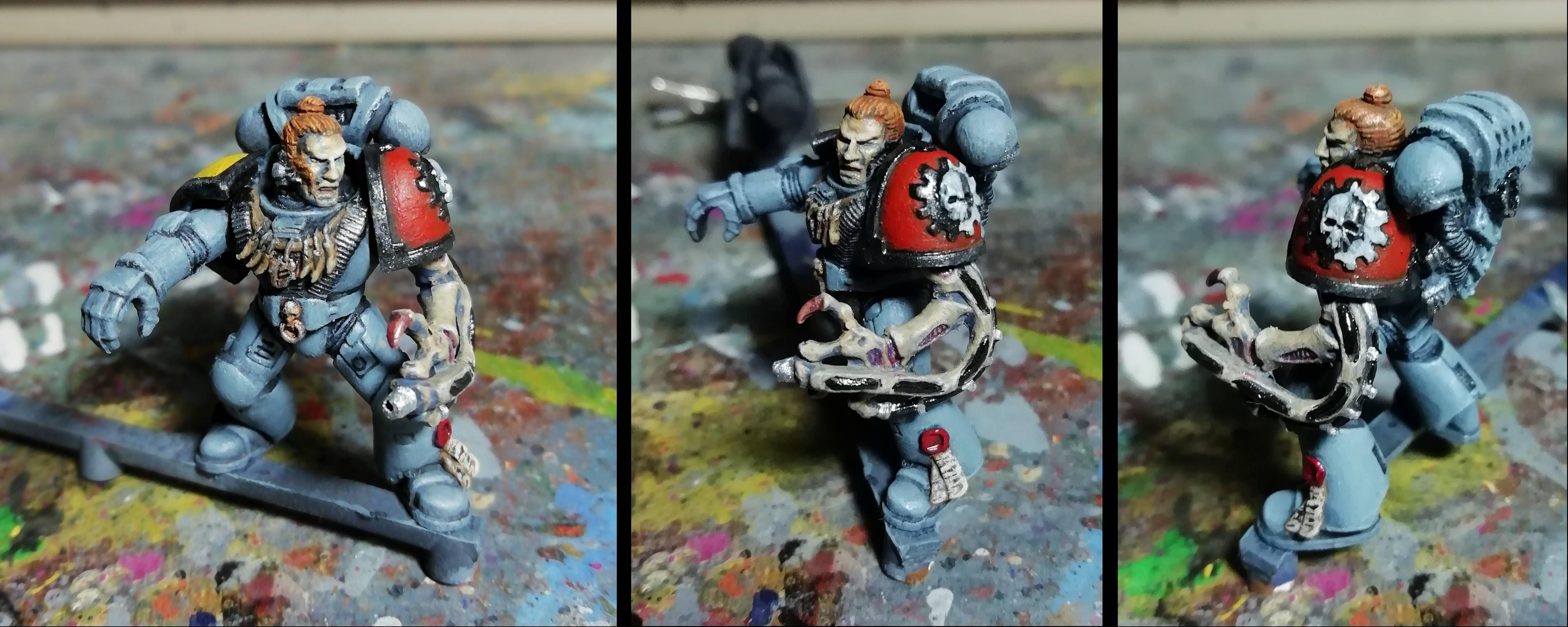 Raider pip 4; pilot