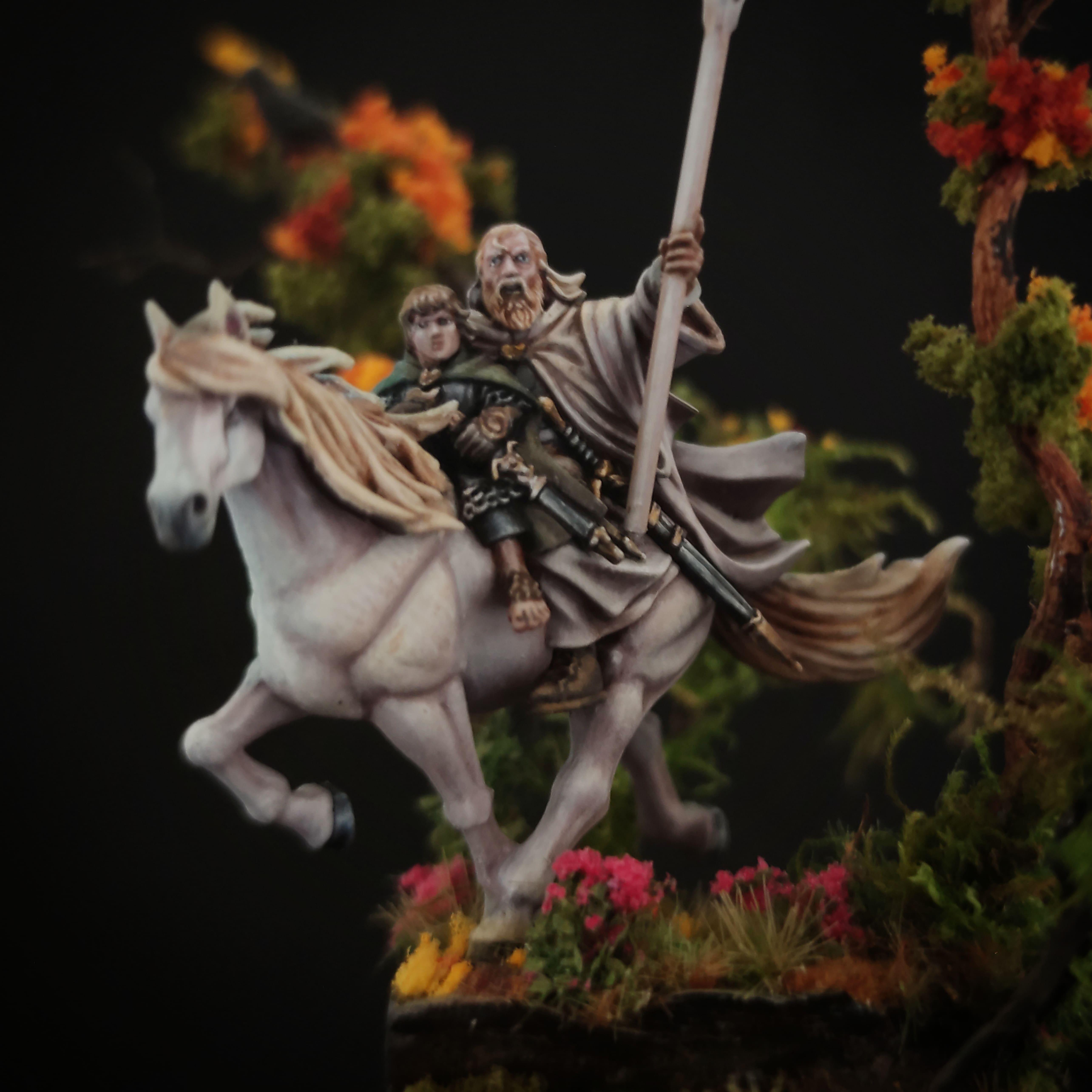 Frodo, Gandolf, Lord Of The Rings, Mounted