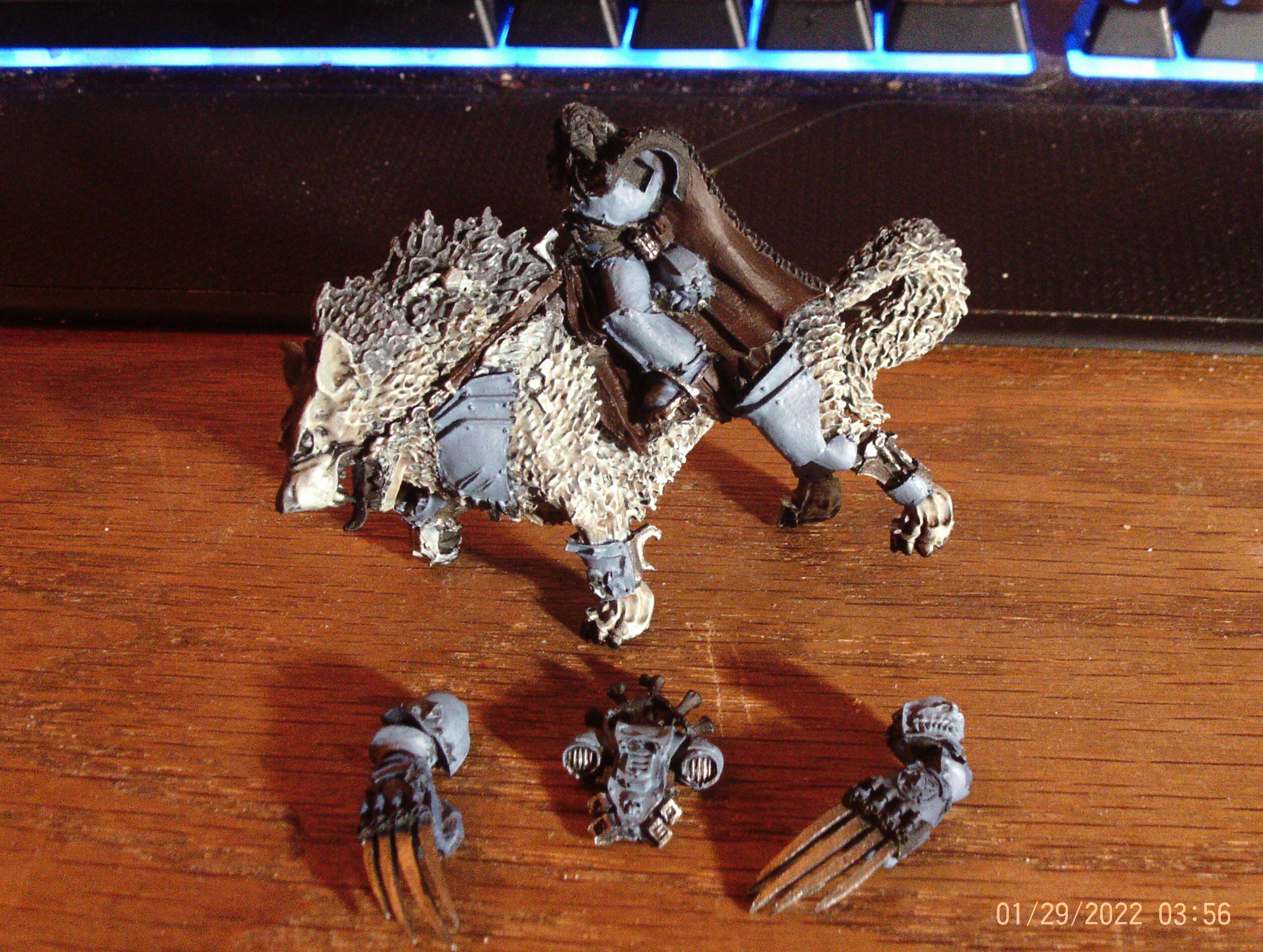 Canis Wolfborn WIP 1