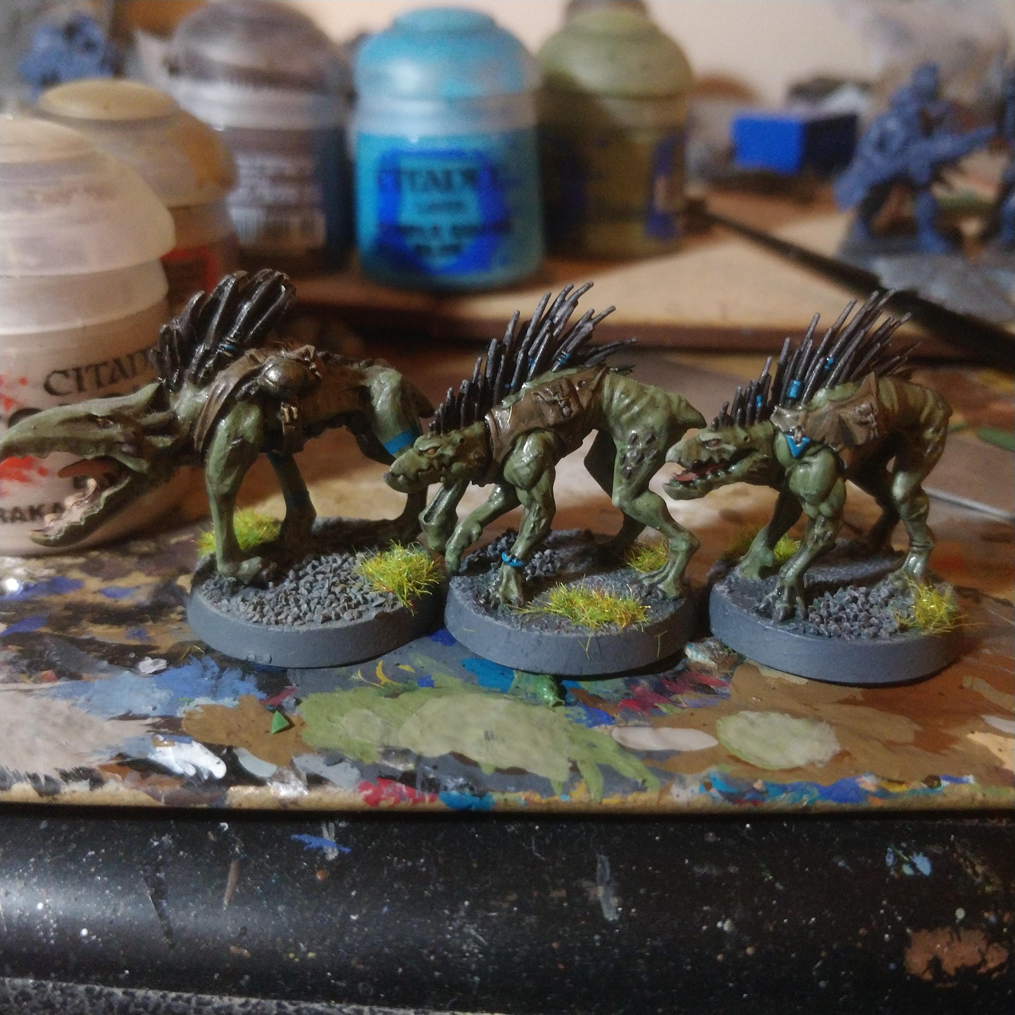 Doggo, Into The Dark, Kill Team, Kroot, Kroot Hounds, Tau