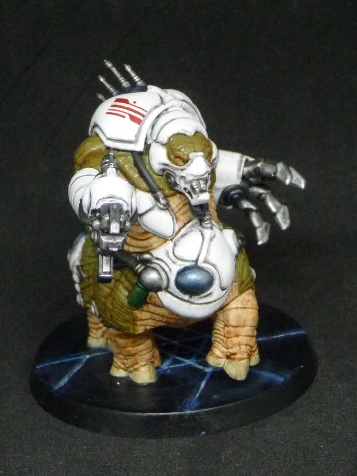Blackstone Fortress, Deadly Alliance, The Archivist, Zoat