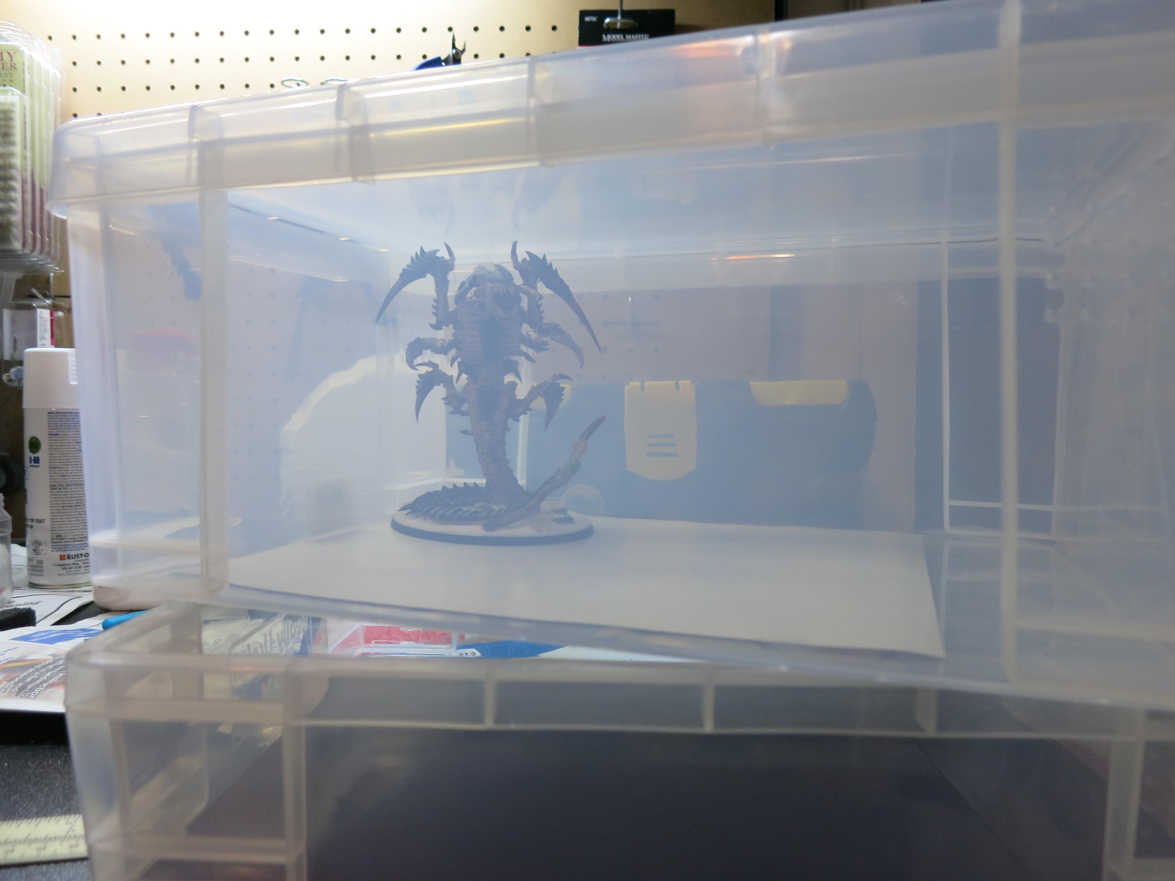 trygon boxed