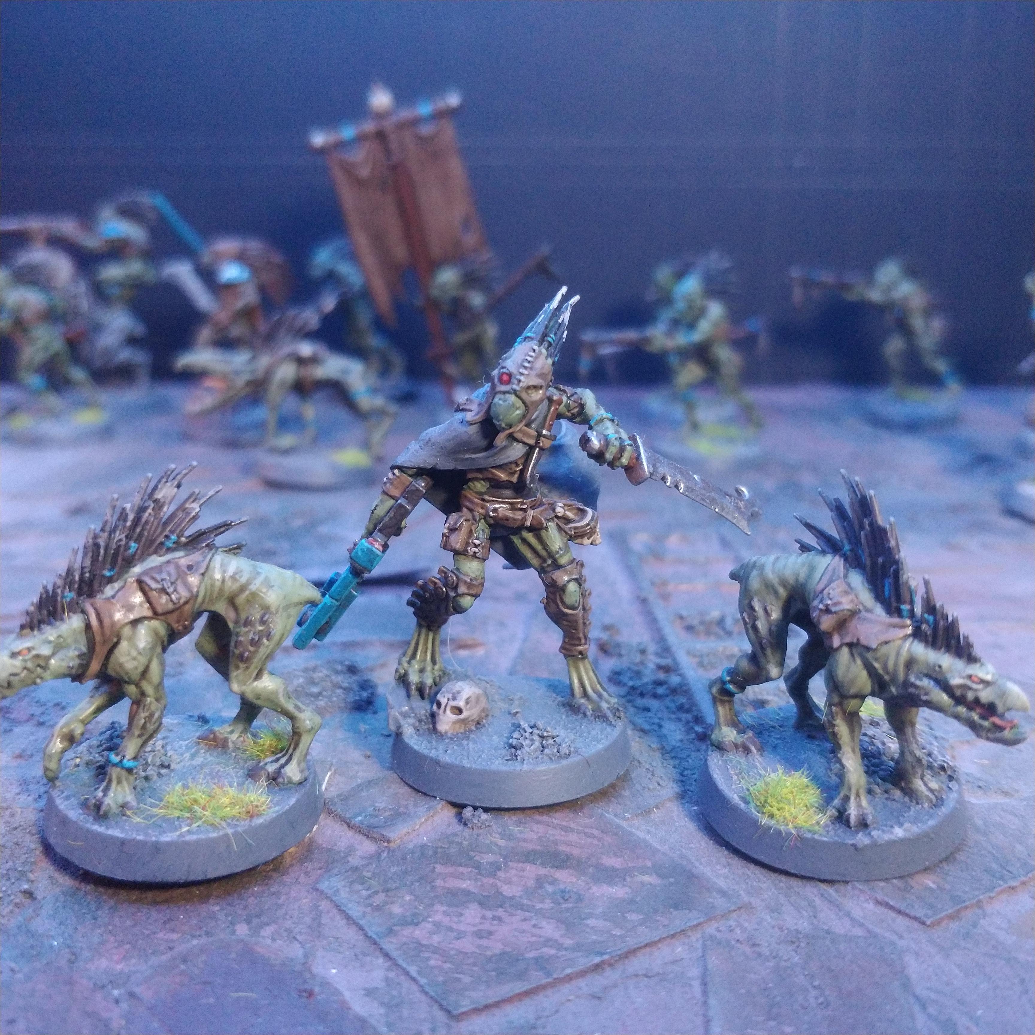 Auxiliaries, Carnivores, Kill Team, Kroot, Kroot Rifle, Mercenary, Tau