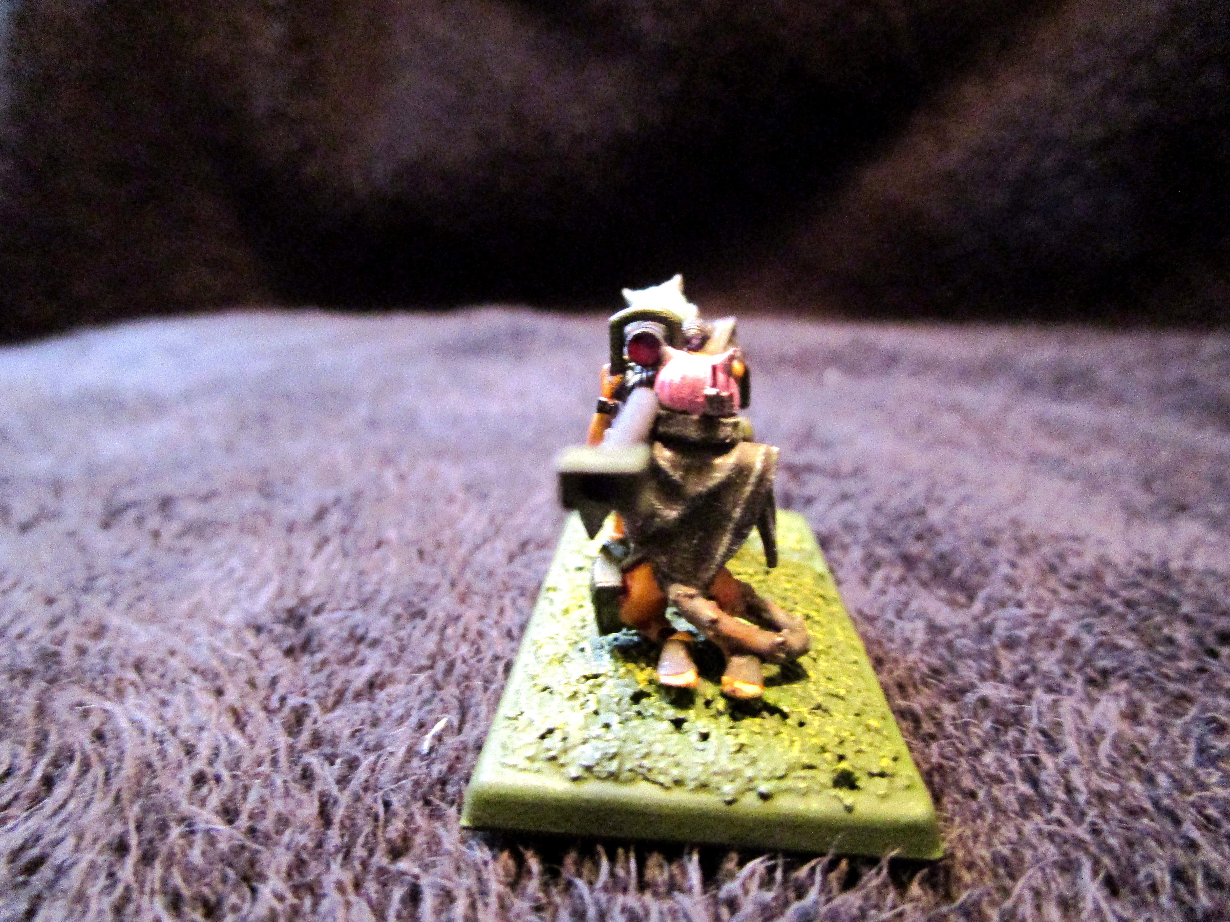 Rangers, Snipers, Winterguard