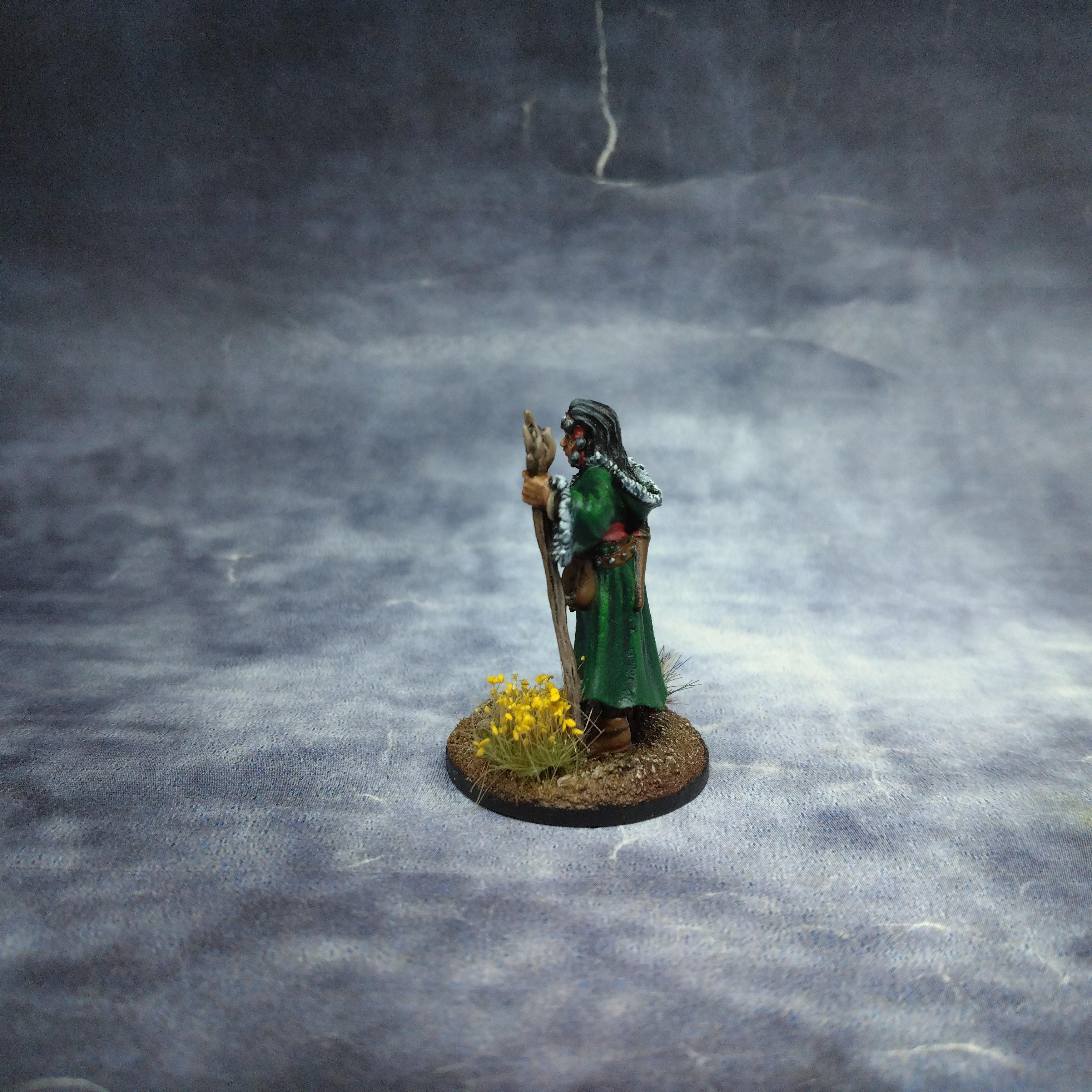 December 2022, Female, Frostgrave, Northstar, Rafm, Reaper