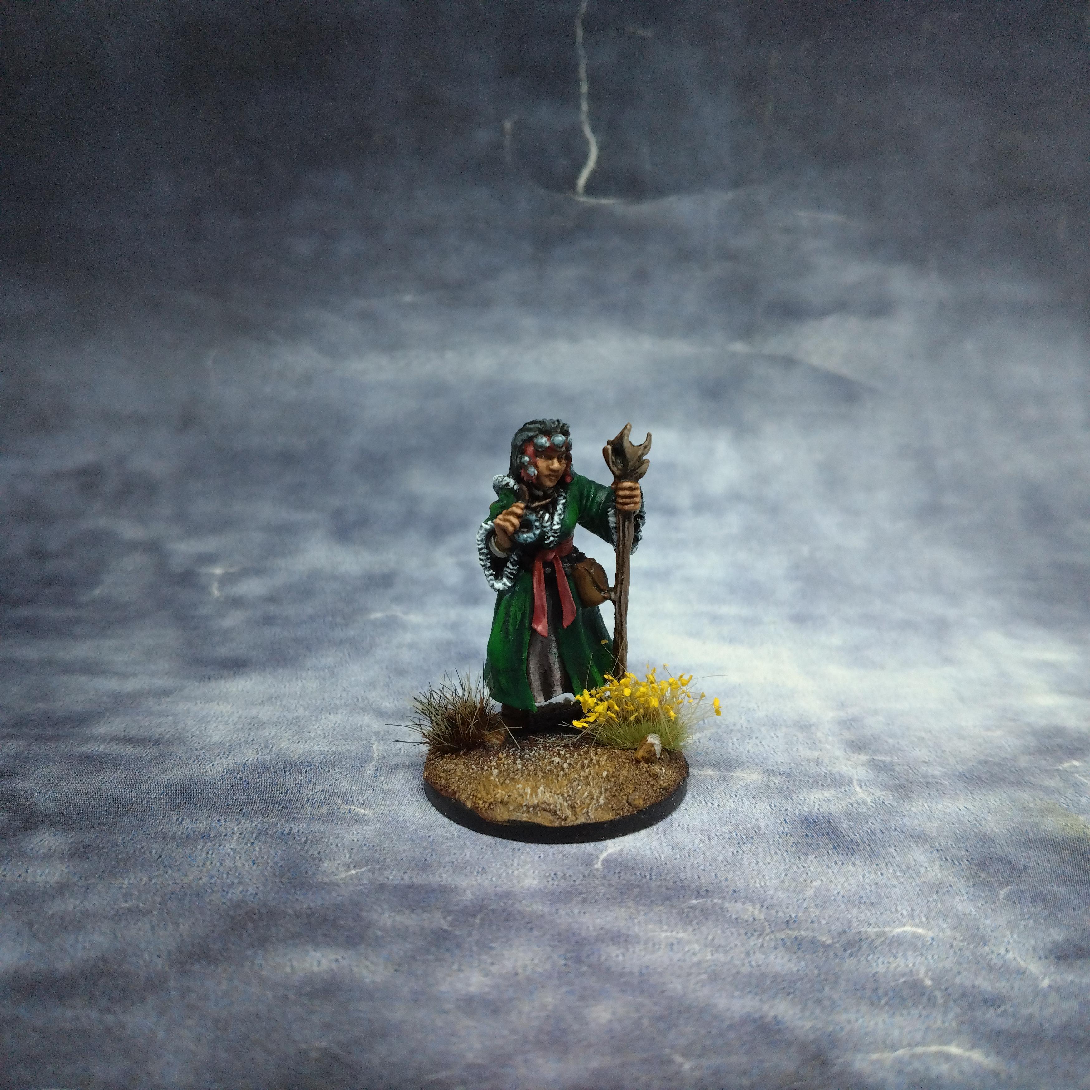 December 2022, Female, Frostgrave, Northstar, Rafm, Reaper