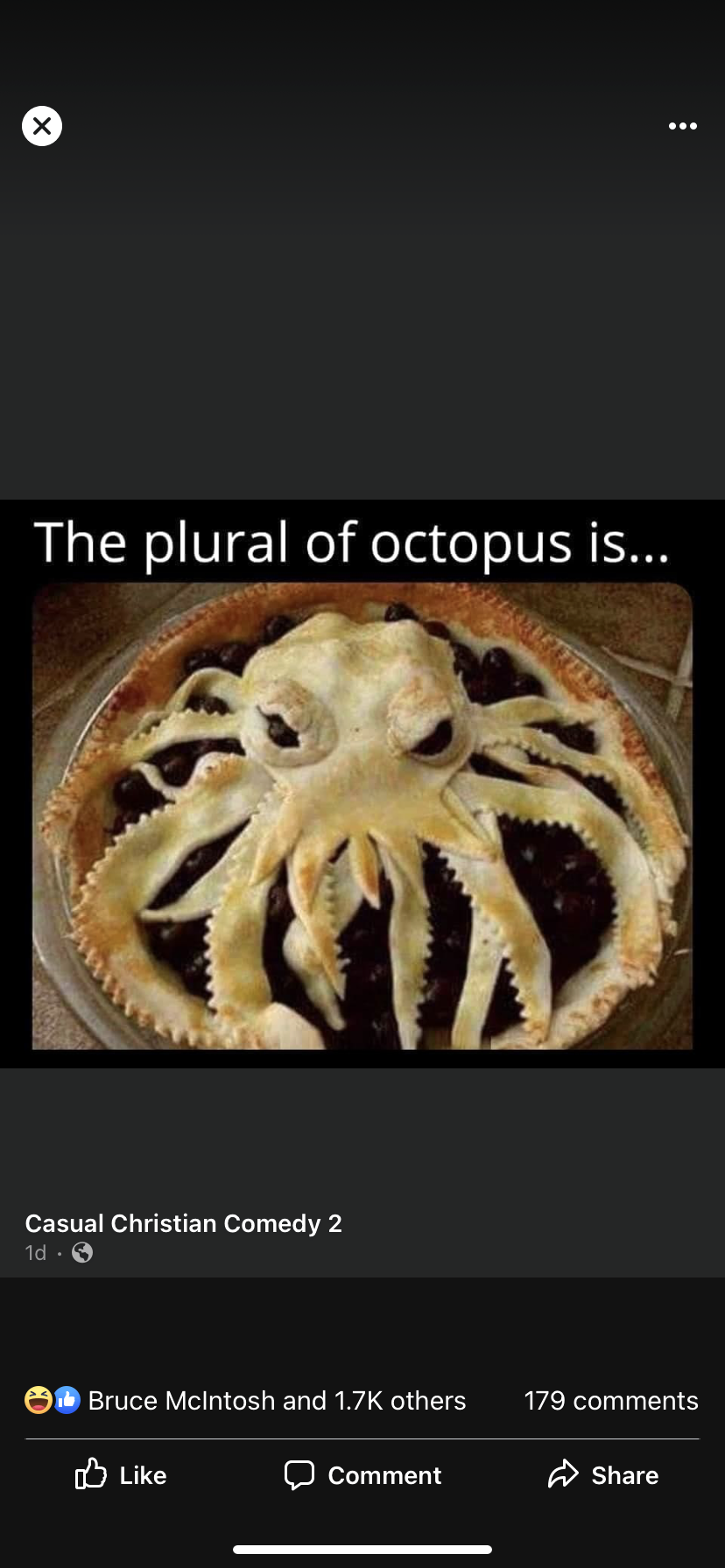 Octopi
