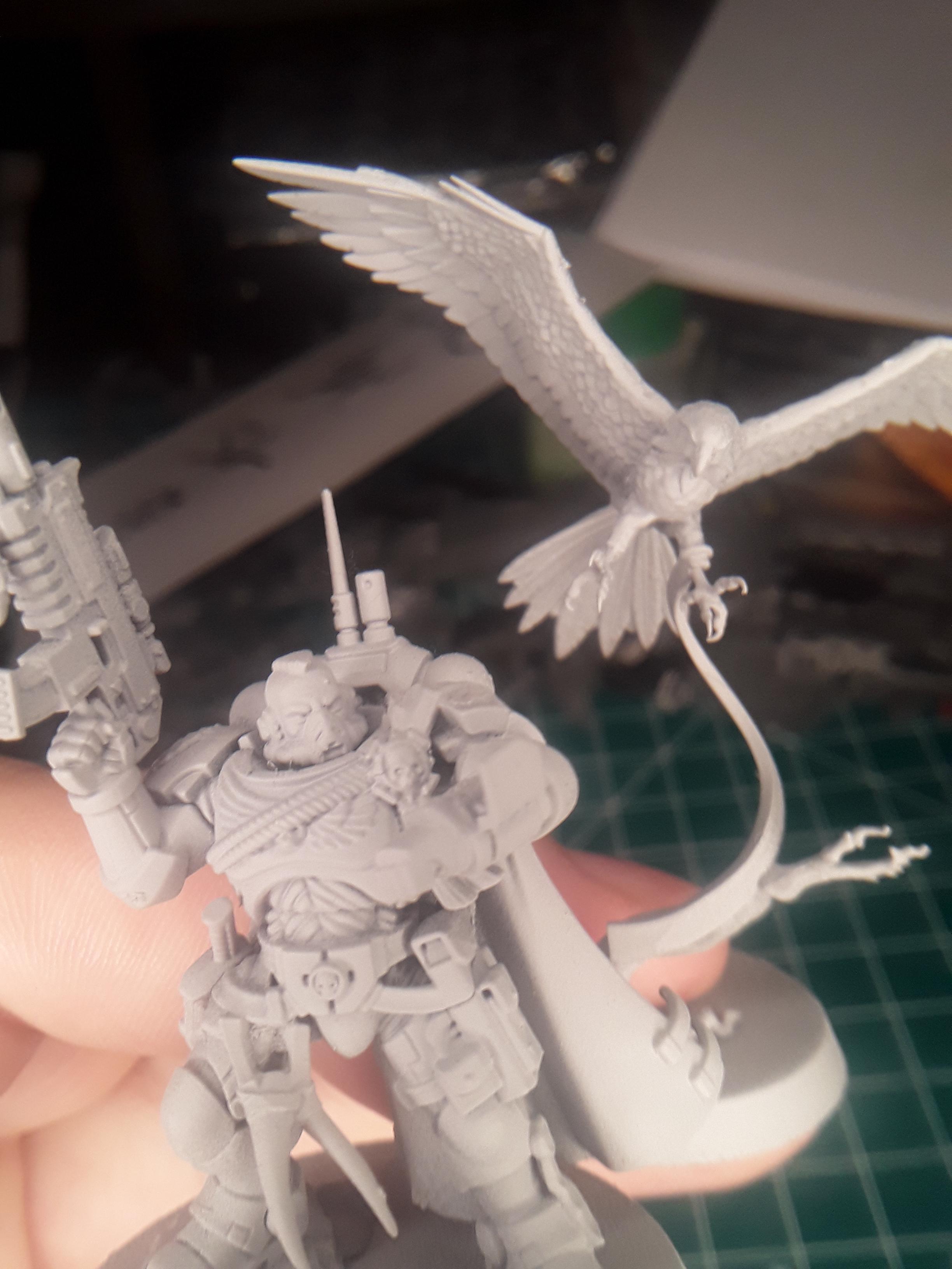 Space Marines, White Scars