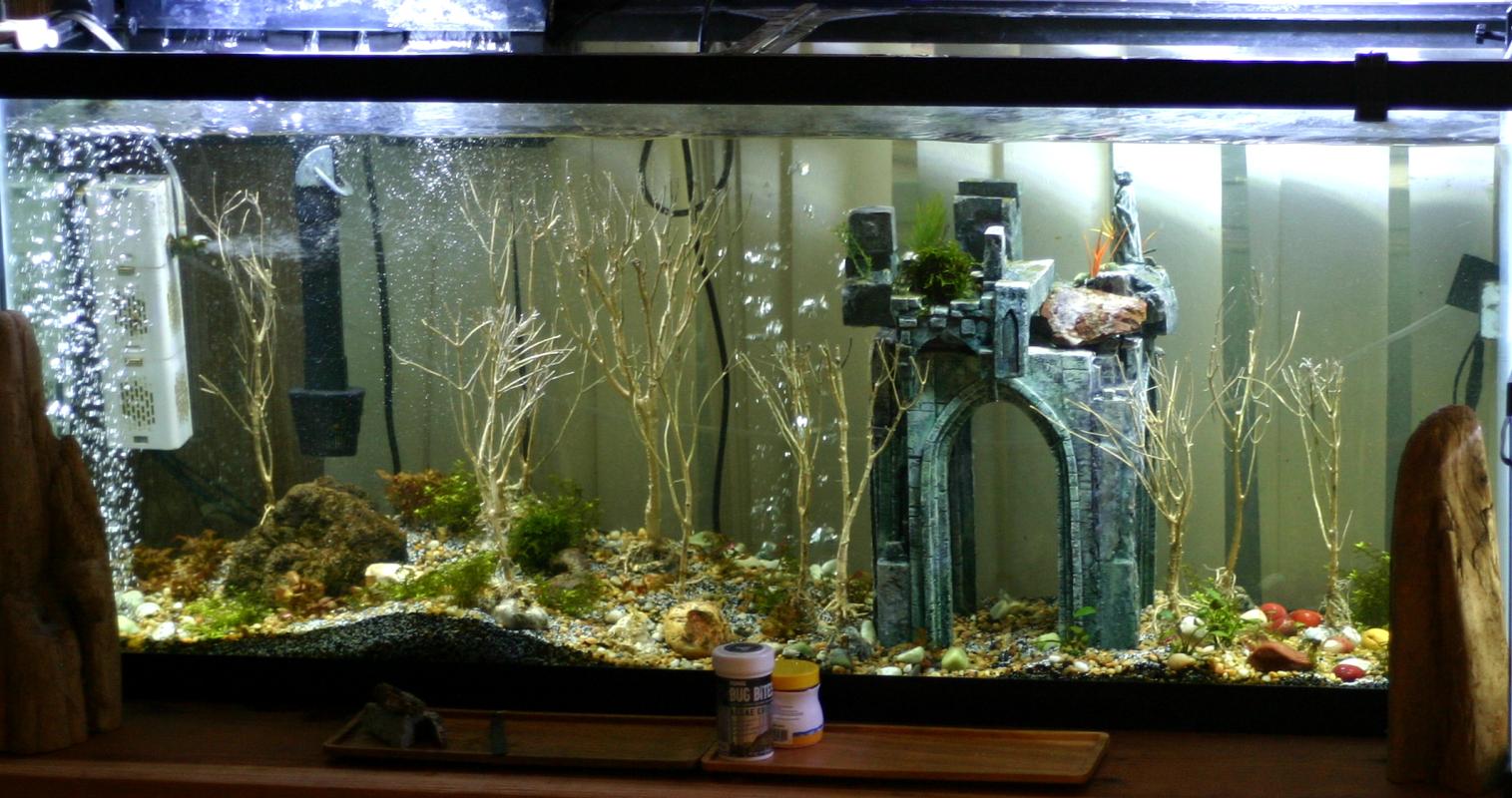 Aquarium, Foam, Loer, Ocean, Proxxon, Ruins, Sea, Sunken, Underwater