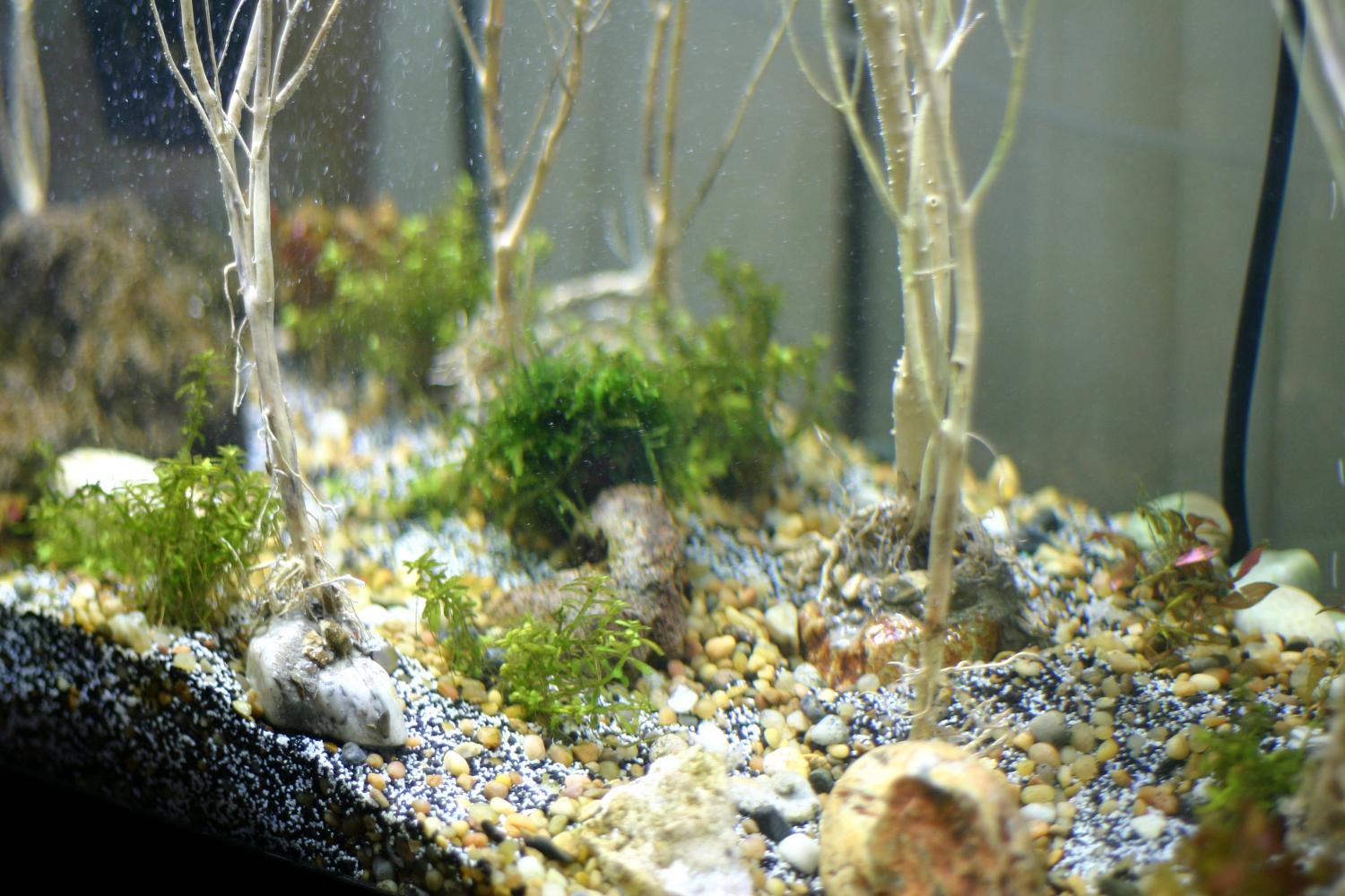 Aquarium, Foam, Loer, Ocean, Proxxon, Ruins, Sea, Sunken, Underwater