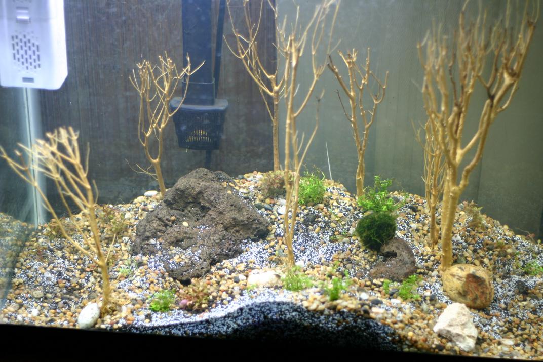 Aquarium, Foam, Loer, Ocean, Proxxon, Ruins, Sea, Sunken, Underwater