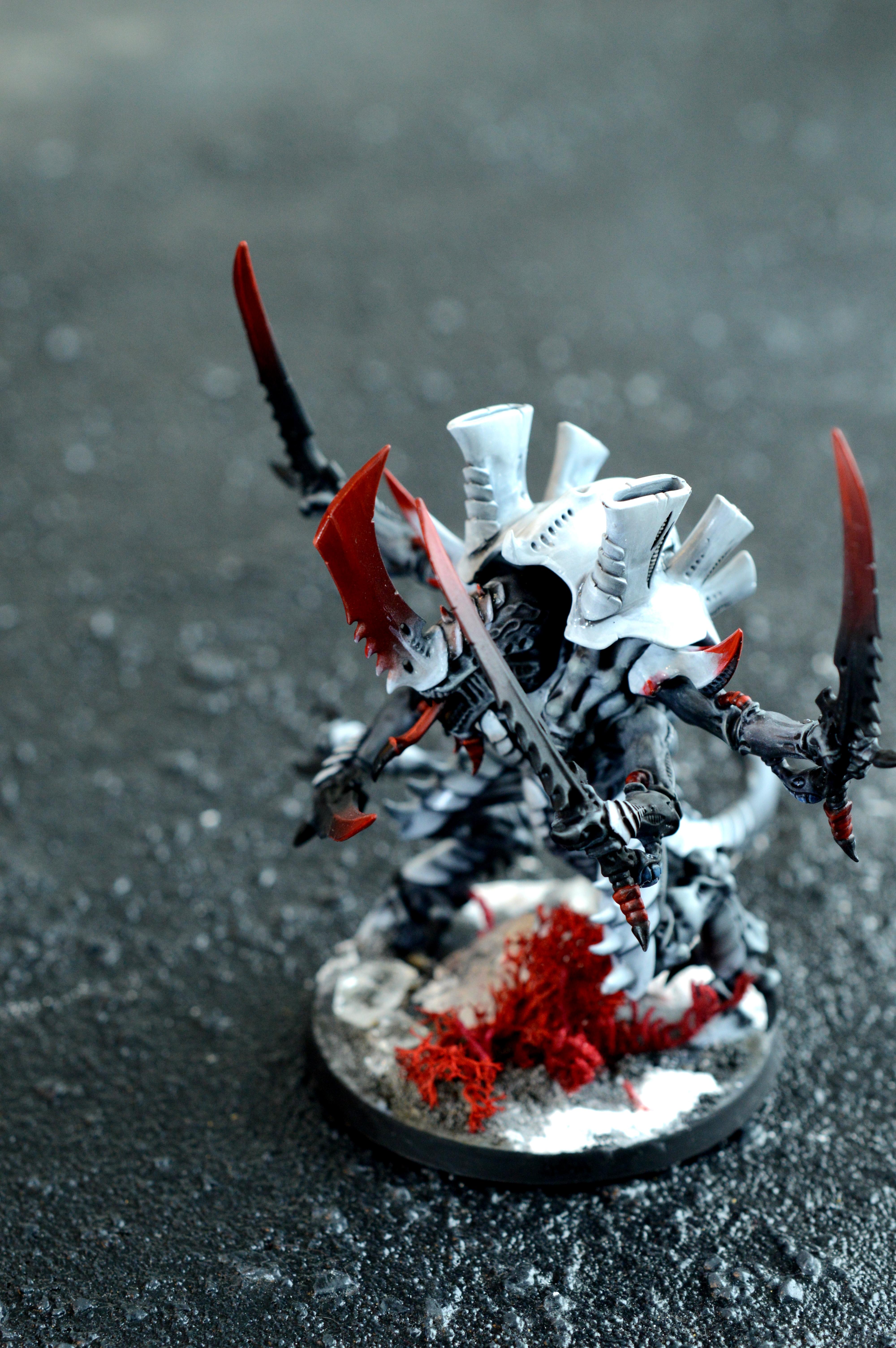 Swarmlord, Hive Fleet Typhon