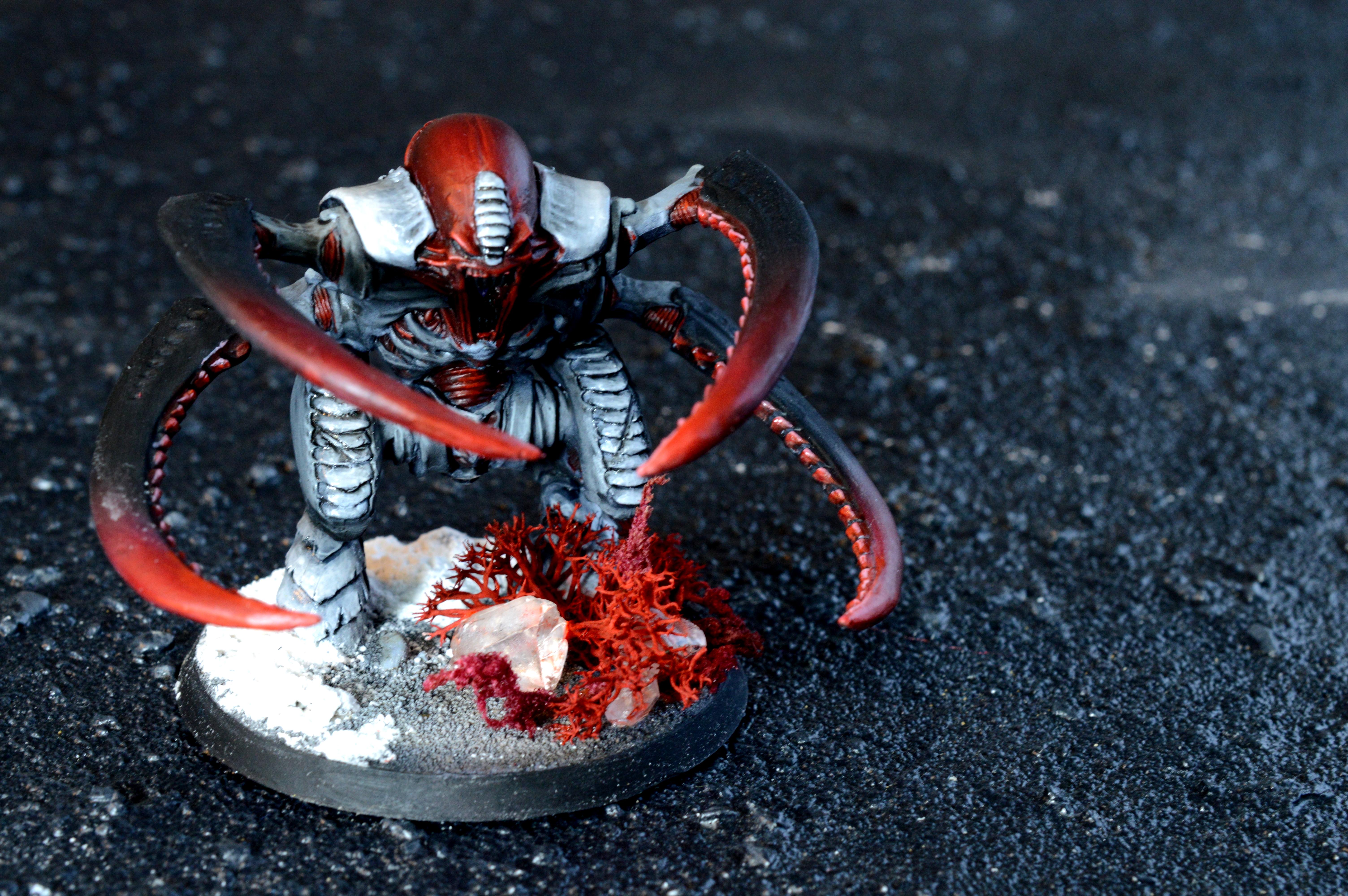 Screamer Killer, Hive Fleet Typhon
