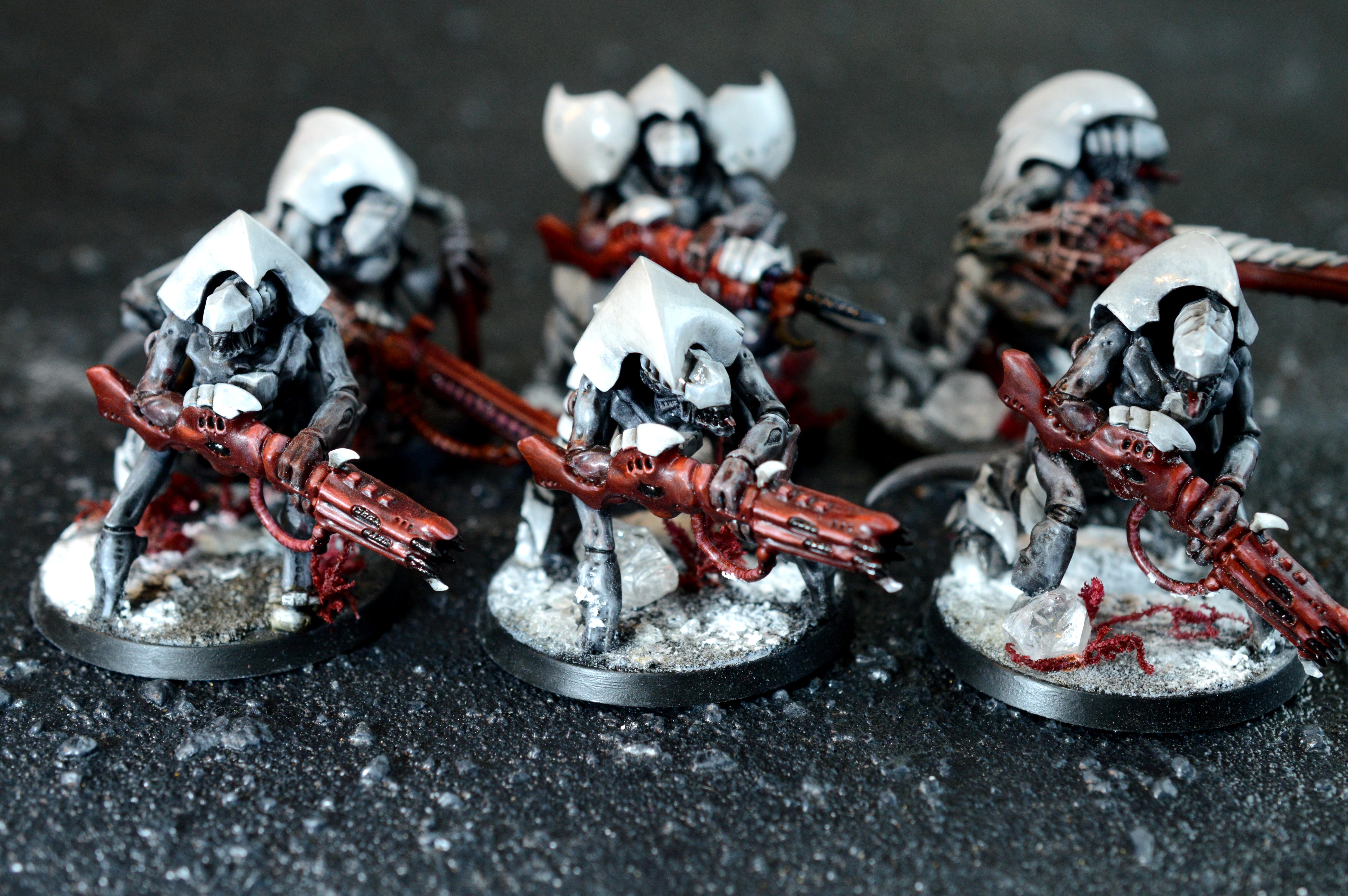 Hive Guard, Hive Fleet Typhon