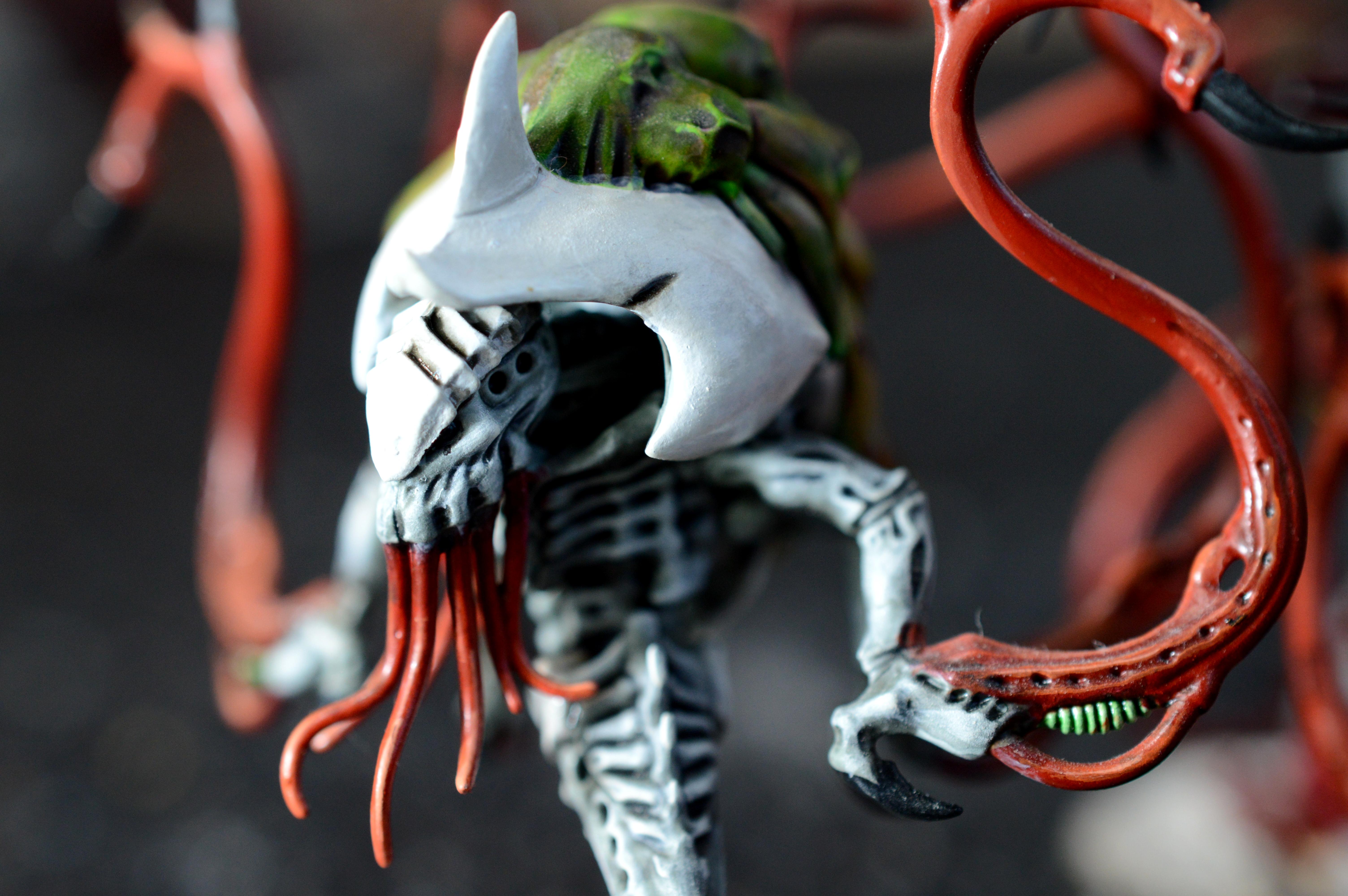 Venomthropes, Hive Fleet Typhon
