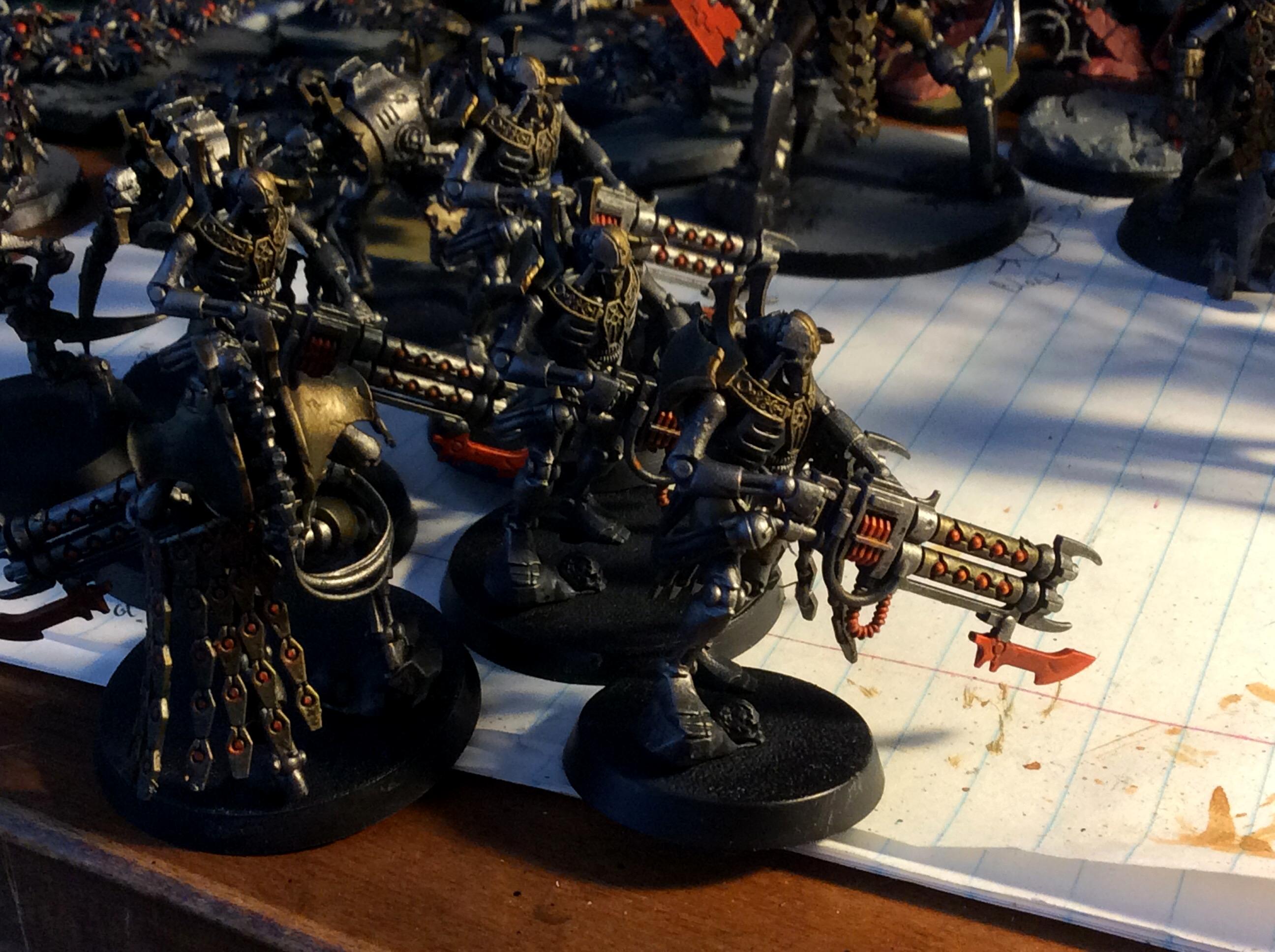 5 wardens
