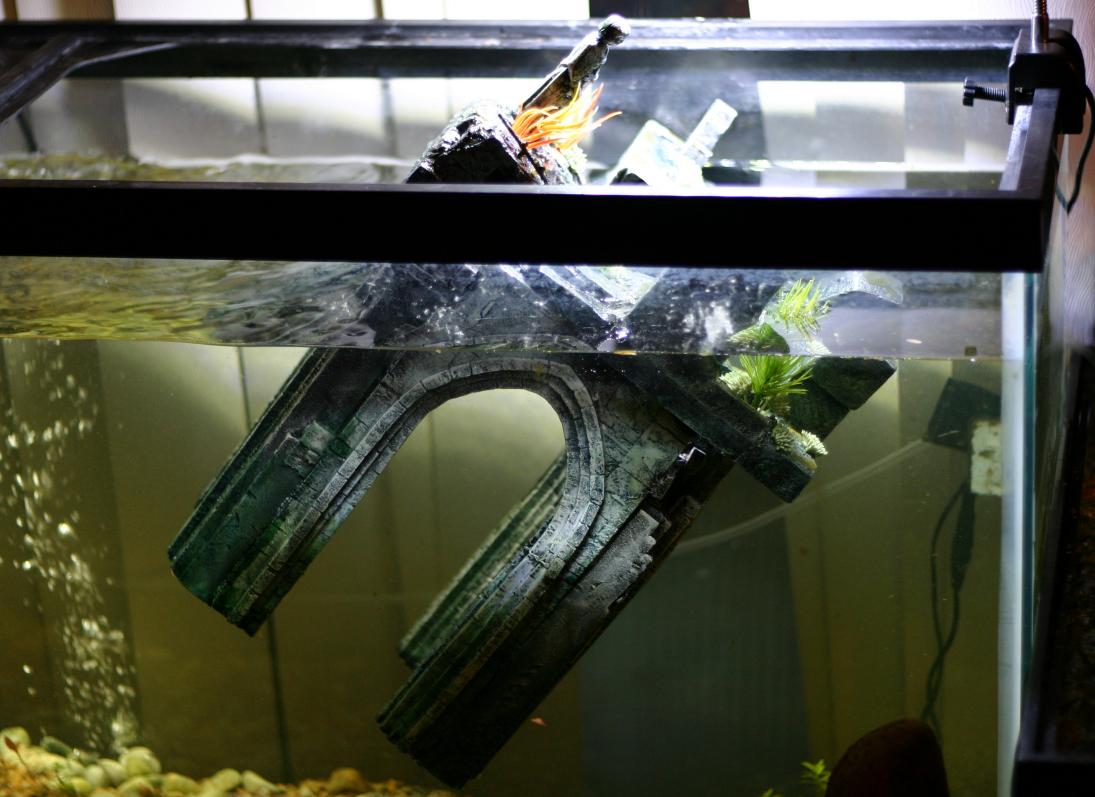 Aquarium, Foam, Loer, Ocean, Proxxon, Ruins, Sea, Sunken, Underwater