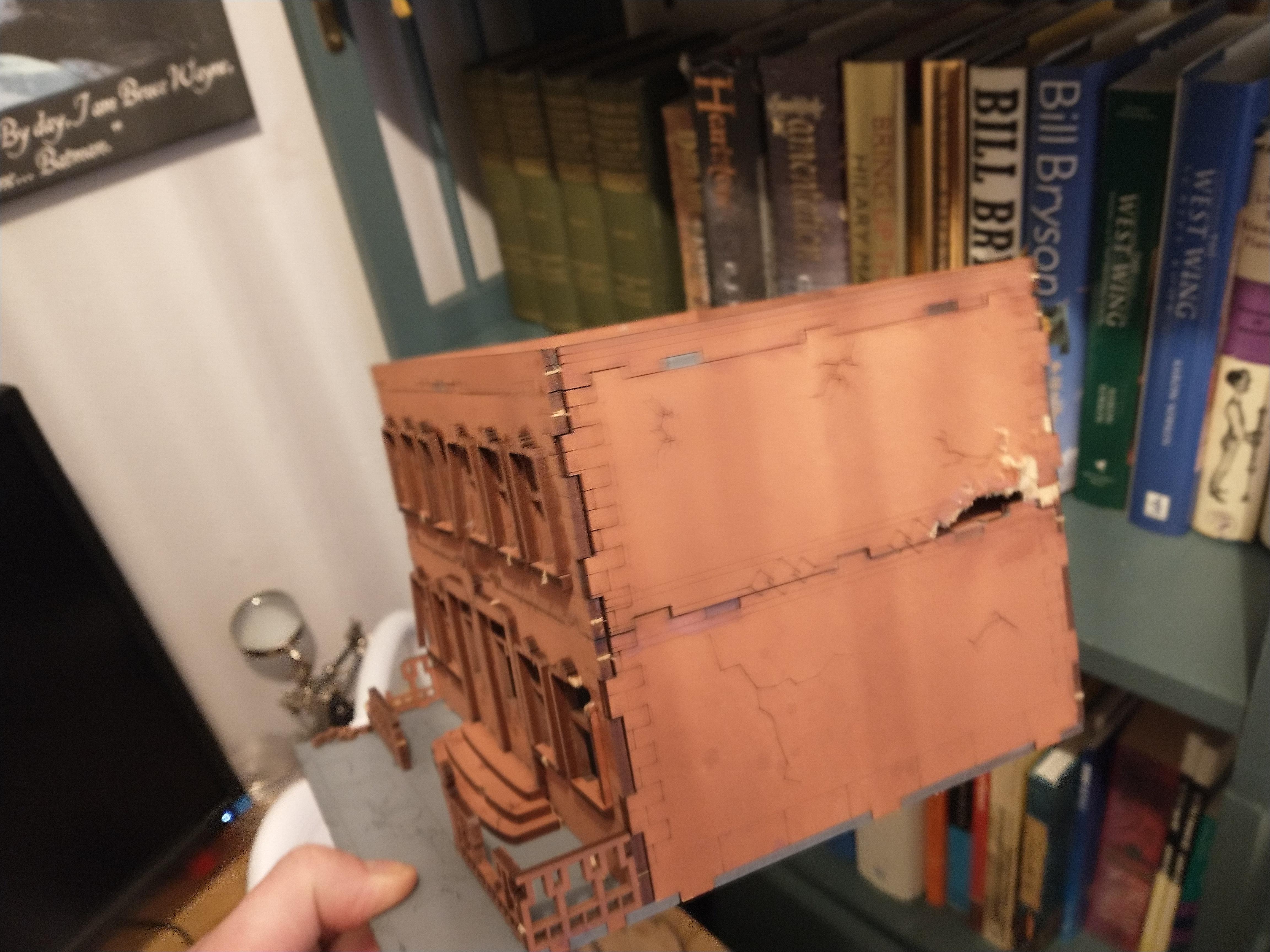 Dog weathering apartment block