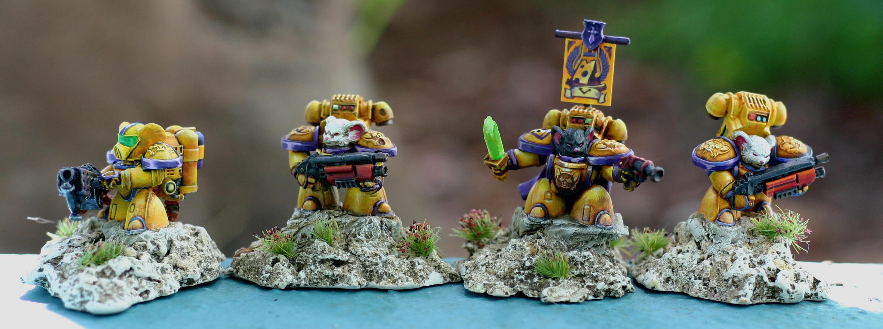 Bones, Bones Black, Mousling, Mousling Marine, Reaper