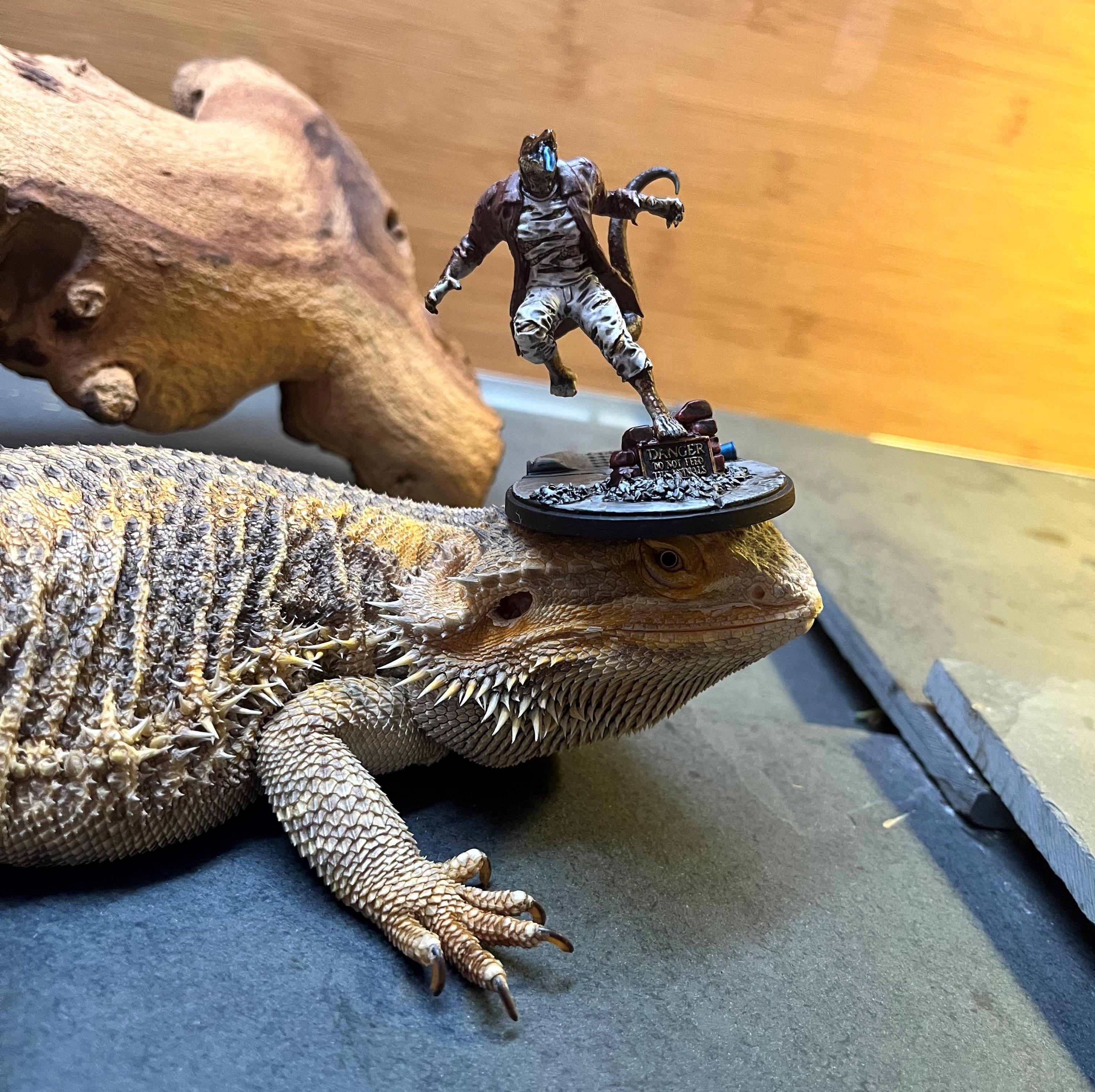 Crisis Protocol, Lizard