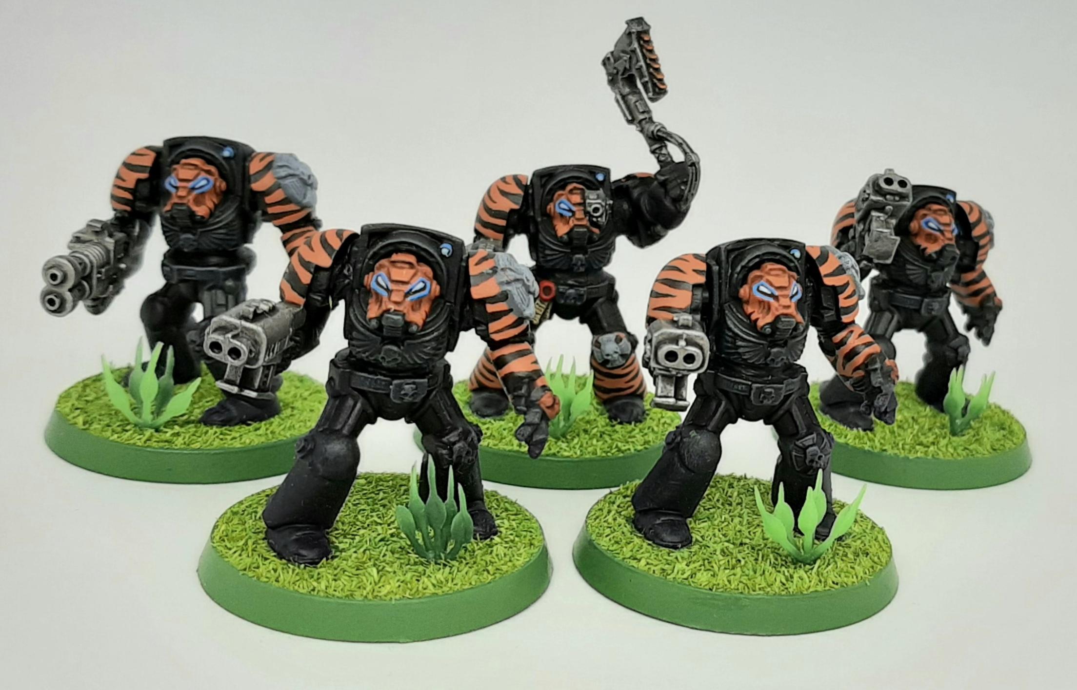 Armor, Black, Camouflage, Chainaxe, Conversion, Crux, Custom, Dreadnought, Fighting, Fist, Forest, Jungle, Kitbash, Modified, Orange, Power, Space, Space Marines, Stormbolter, Striped, Stripes, Tactical, Terminator Armor, Terminatus, Tigers, Trees, Veda