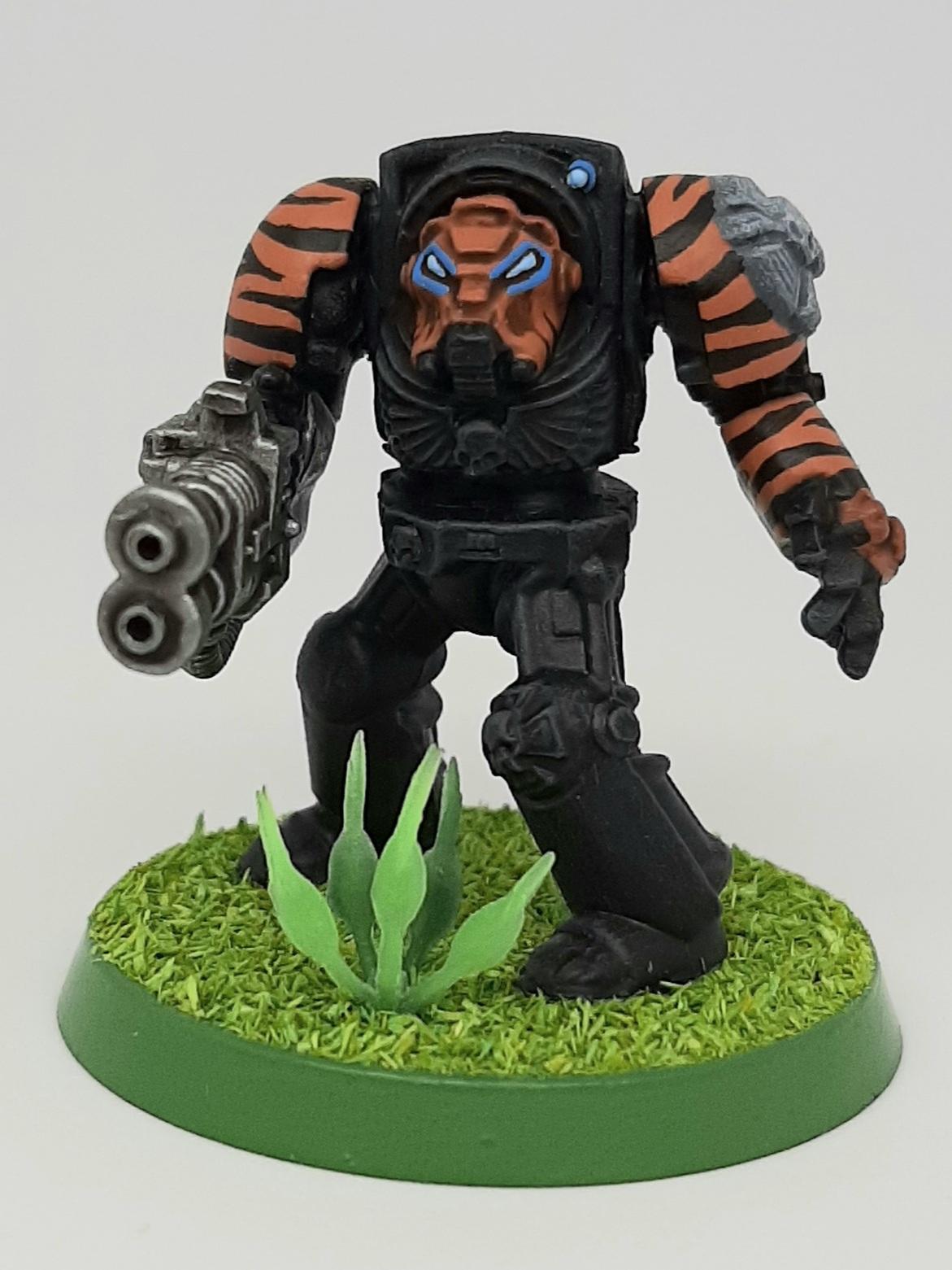 Armor, Black, Camouflage, Chainaxe, Conversion, Crux, Custom, Dreadnought, Fighting, Fist, Forest, Jungle, Kitbash, Modified, Orange, Power, Space, Space Marines, Stormbolter, Striped, Stripes, Tactical, Terminator Armor, Terminatus, Tigers, Trees, Veda