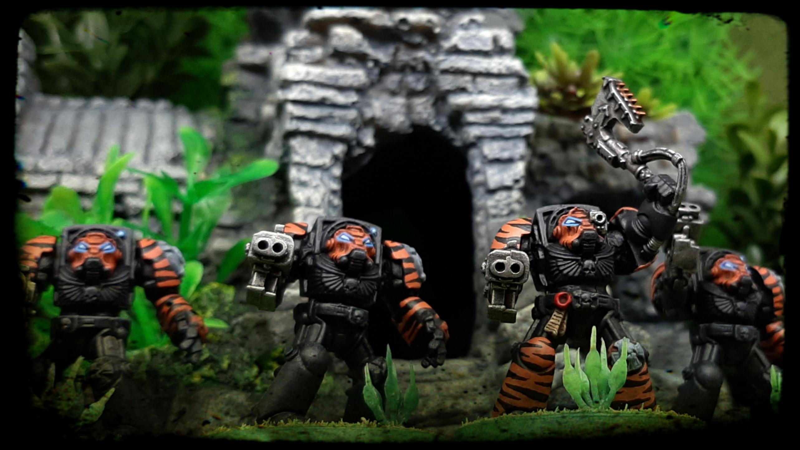 Armor, Black, Camouflage, Chainaxe, Conversion, Crux, Custom, Dreadnought, Fighting, Fist, Forest, Jungle, Kitbash, Modified, Orange, Power, Space, Space Marines, Stormbolter, Striped, Stripes, Tactical, Terminator Armor, Terminatus, Tigers, Trees, Veda