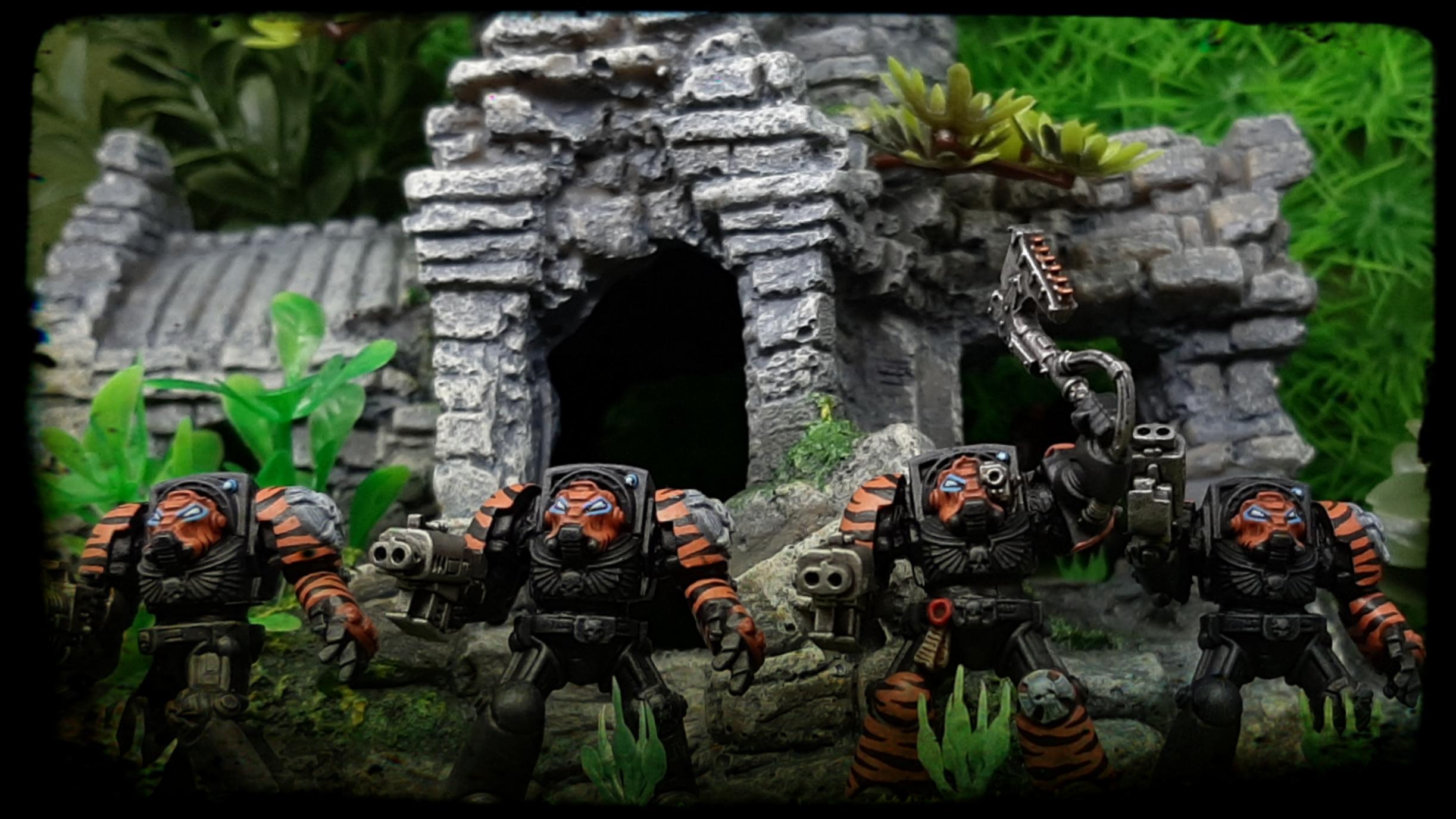 Armor, Black, Camouflage, Chainaxe, Conversion, Crux, Custom, Dreadnought, Fighting, Fist, Forest, Jungle, Kitbash, Modified, Orange, Power, Space, Space Marines, Stormbolter, Striped, Stripes, Tactical, Terminator Armor, Terminatus, Tigers, Trees, Veda