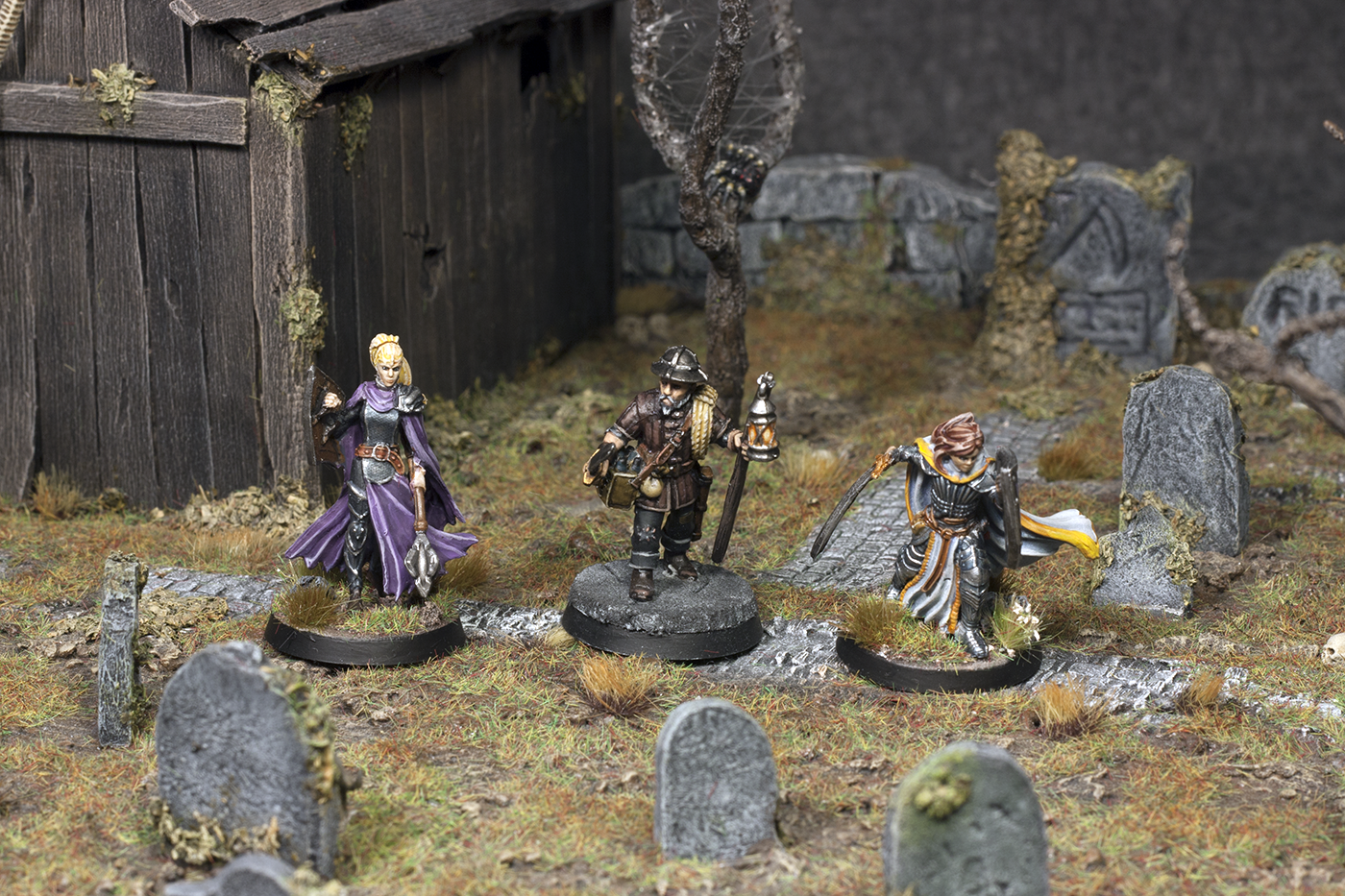 Cleric, Dungeons And Dragons, Fighter, Paladin, Reaper, Terrain, Warriors, Wizkids