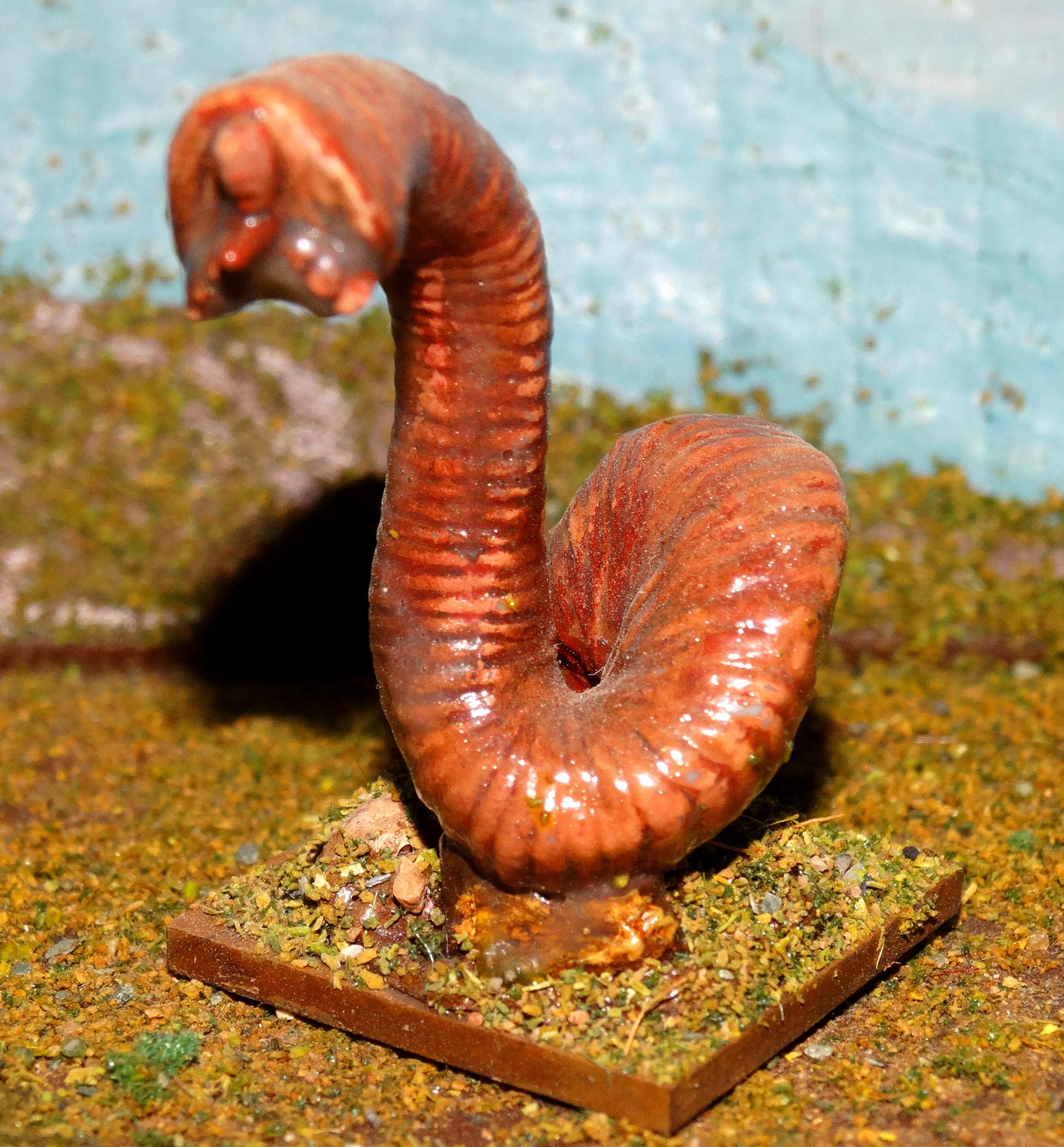 Leech