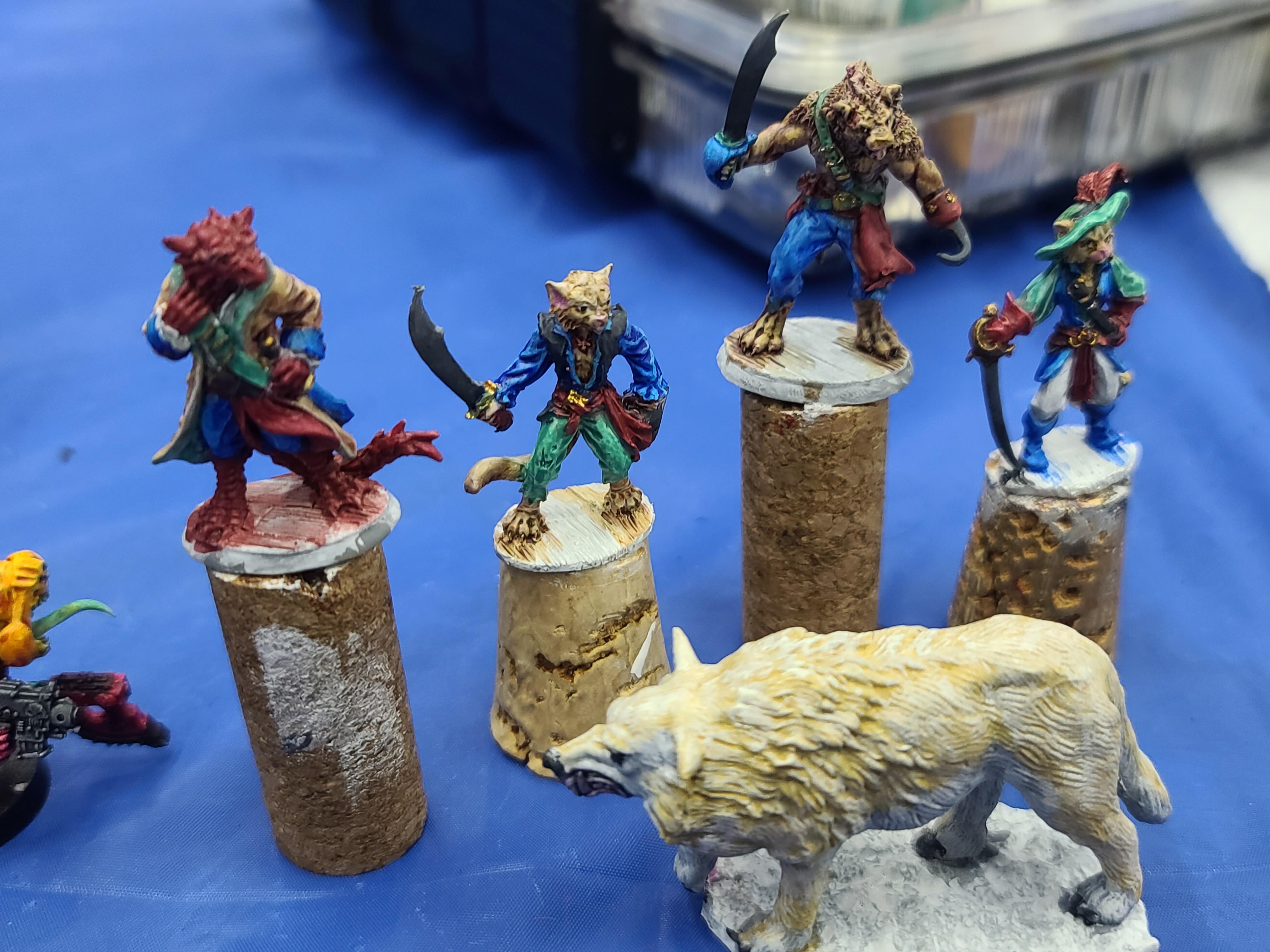 Animal Adventurers, Catfolk, Dragonborn, Dungeons And Dragons, Gnoll, Pirates, Reaper Miniatures, Tabaxi