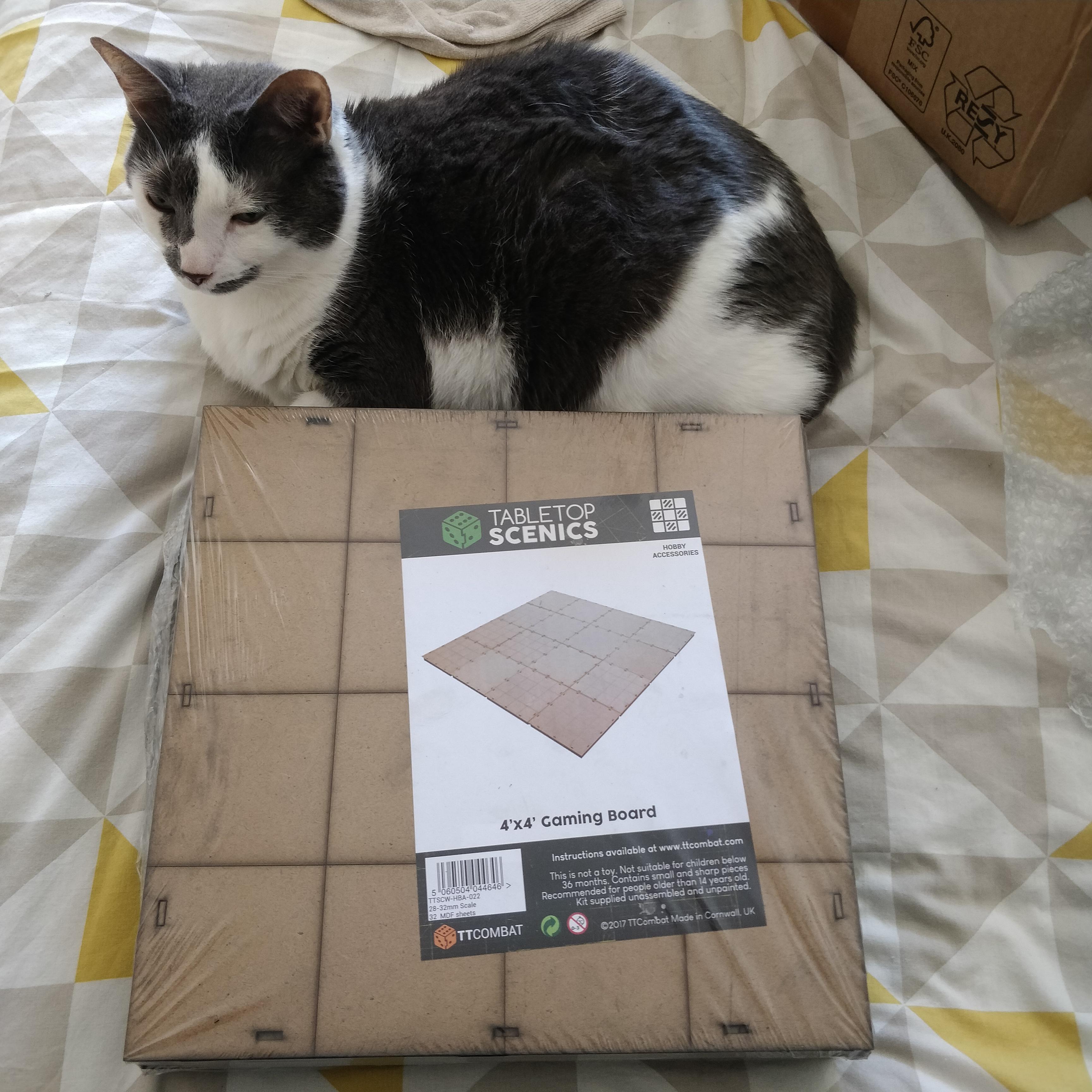 Cat, Game Board, Kitty, Mdf, Tt Combat