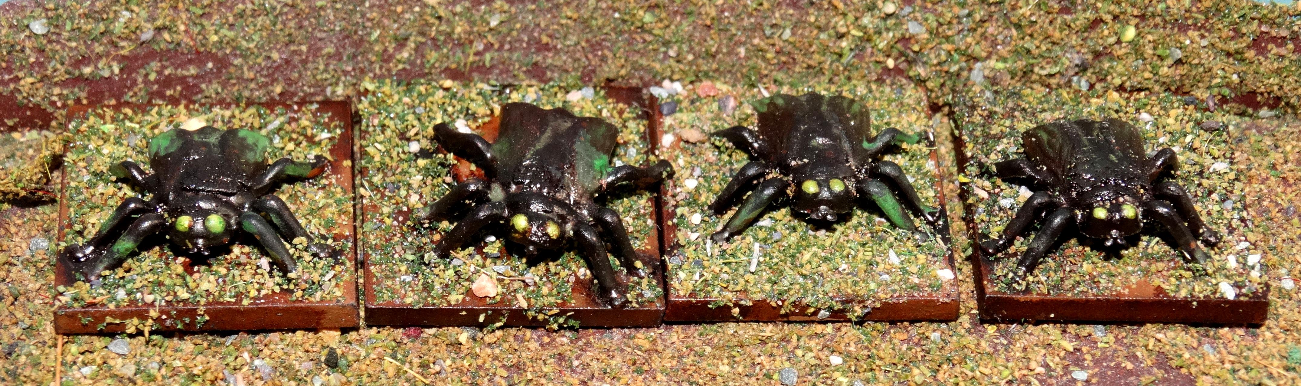 Flies