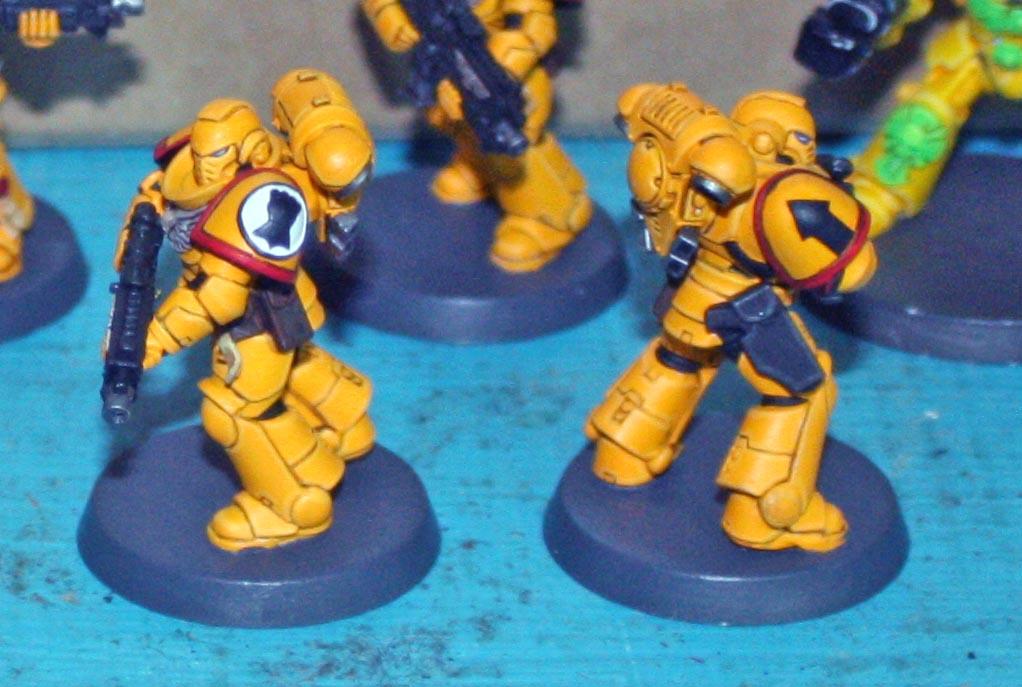 Imperial Fists Intercessors