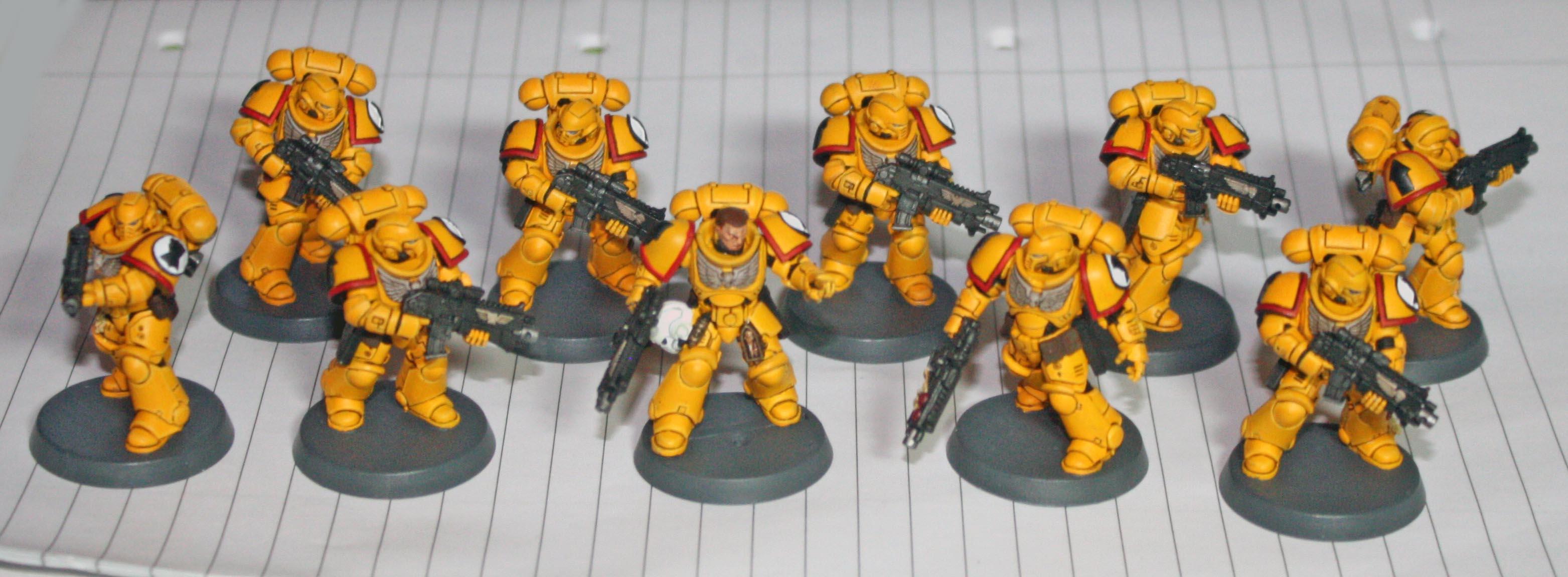 Imperial Fists Intercessors